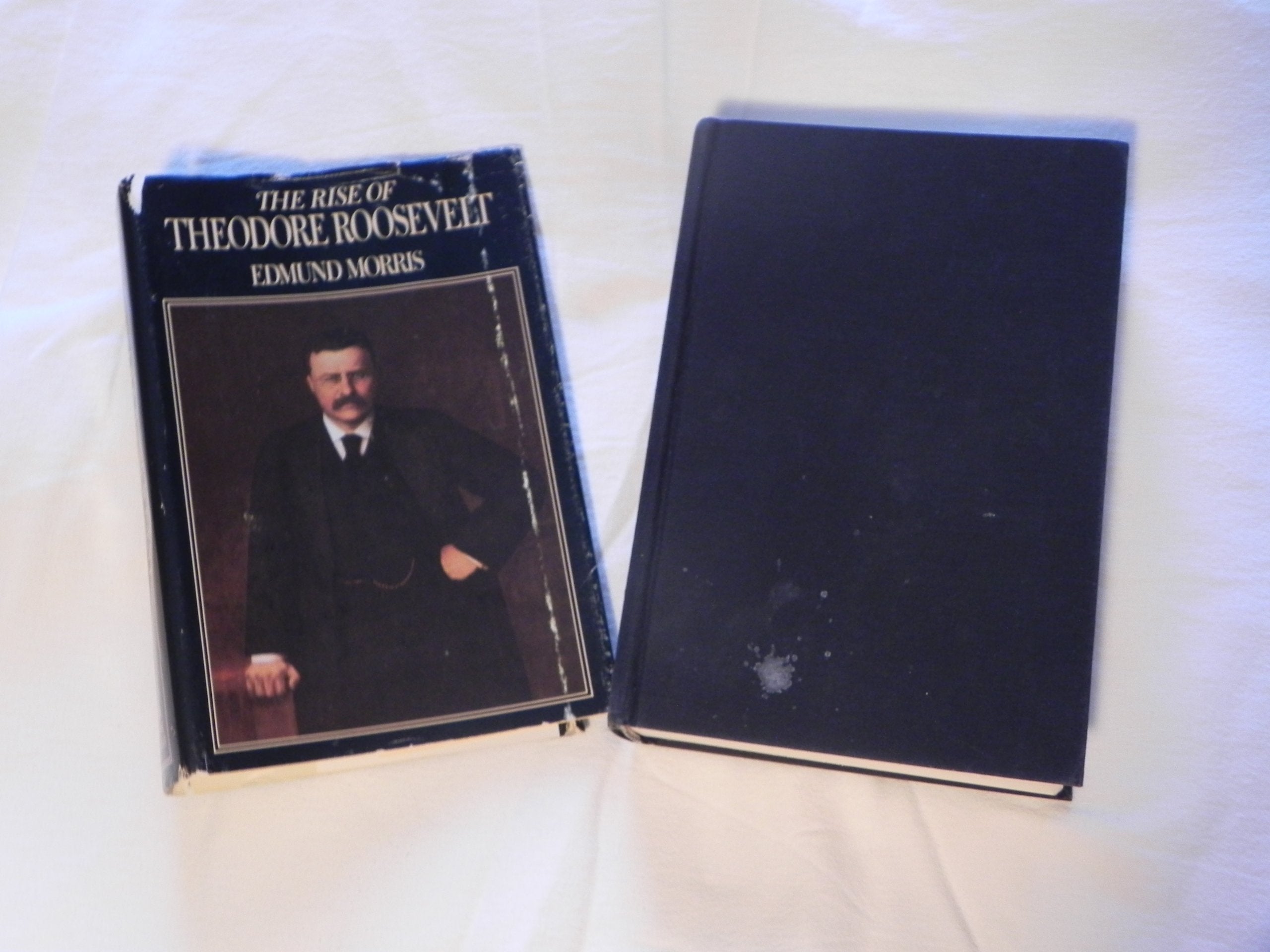 The Rise of Theodore Roosevelt,New