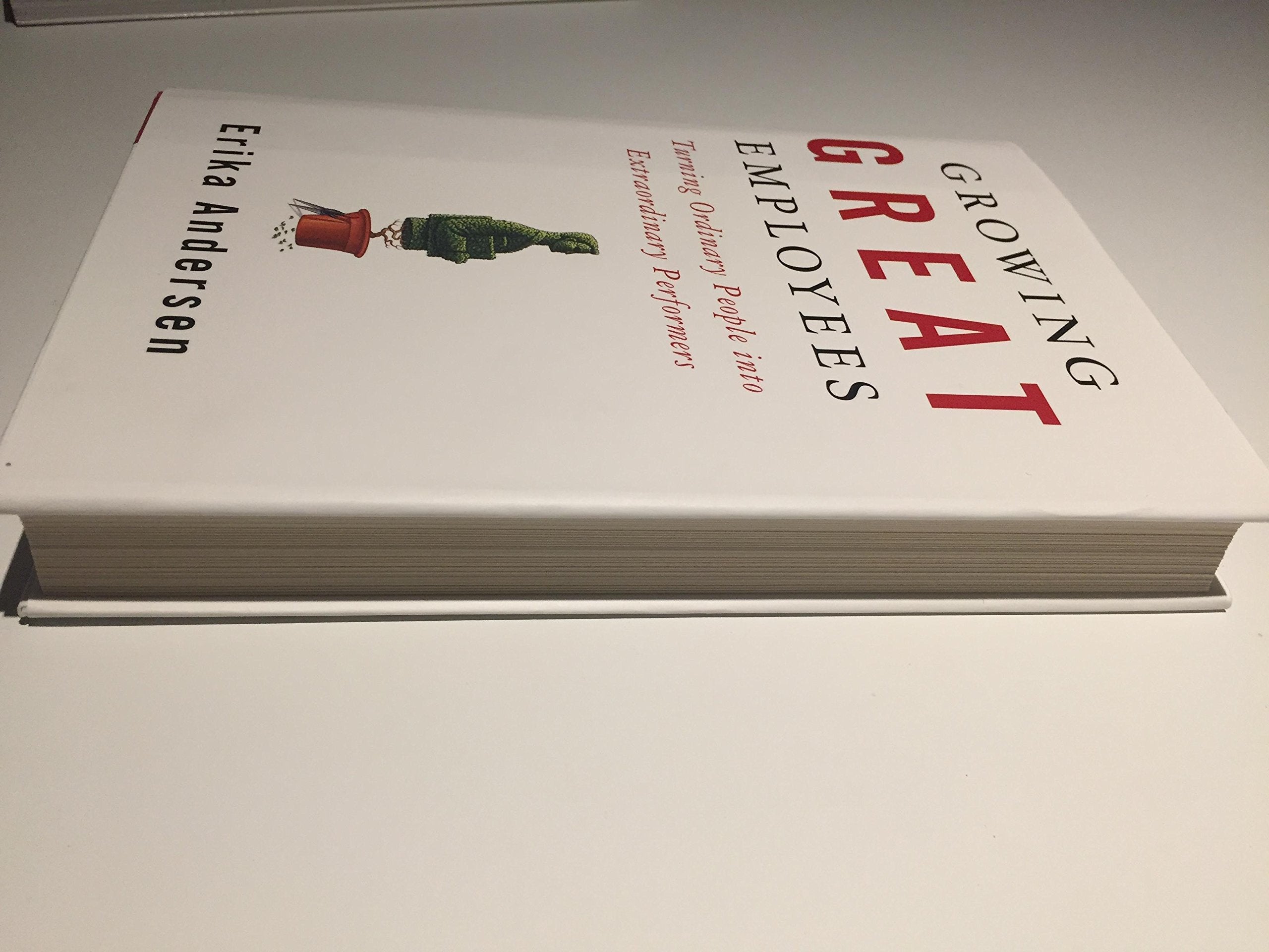 Growing Great Employees: Turning Ordinary People into Extraordinary Performers,New