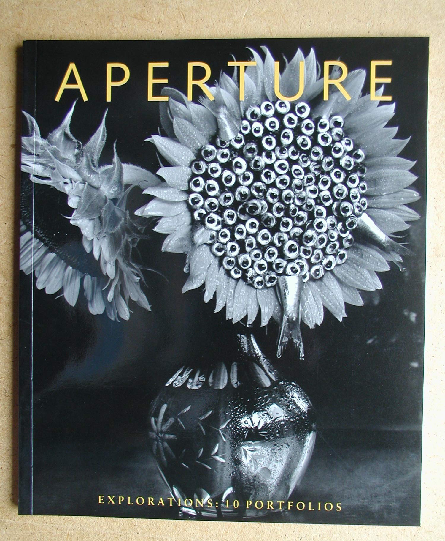 Aperture: Explorations : 10 Portfolios (Aperture 130),New