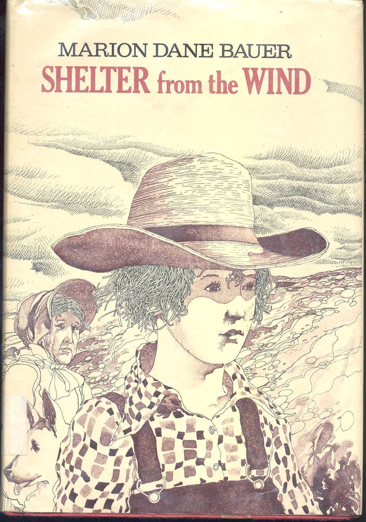 Shelter from the wind,Used