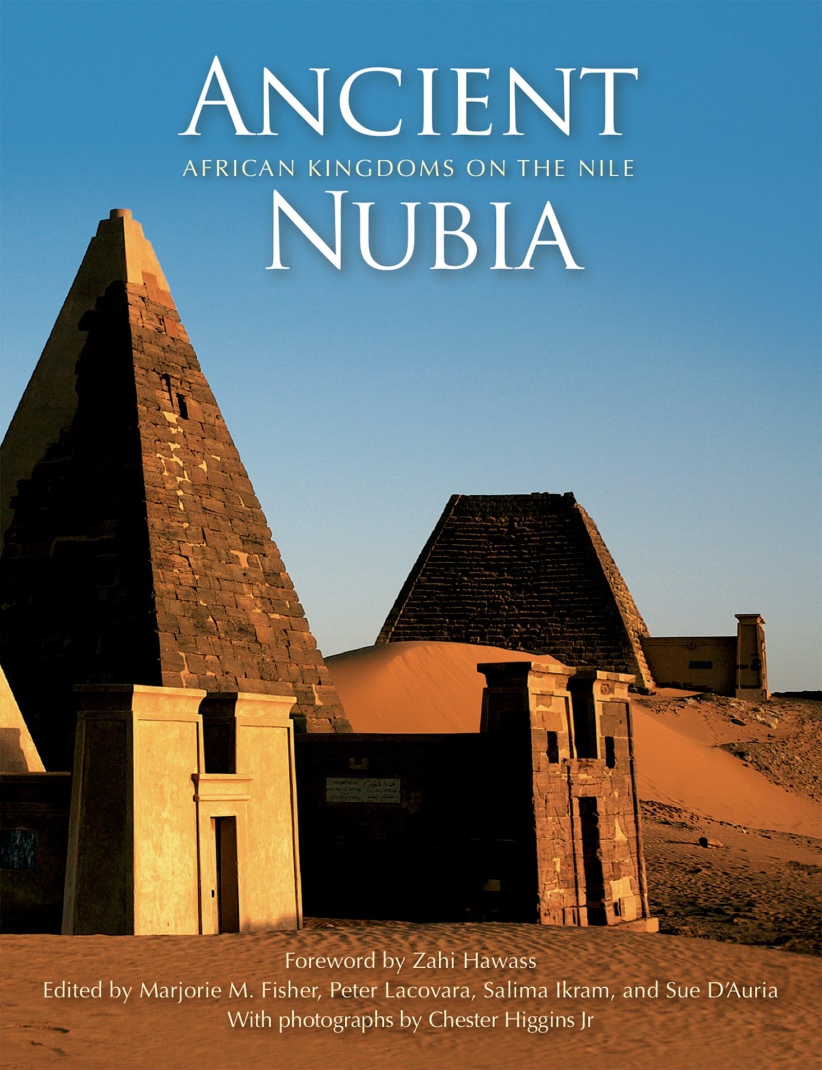 Ancient Nubia: African Kingdoms on the Nile,New