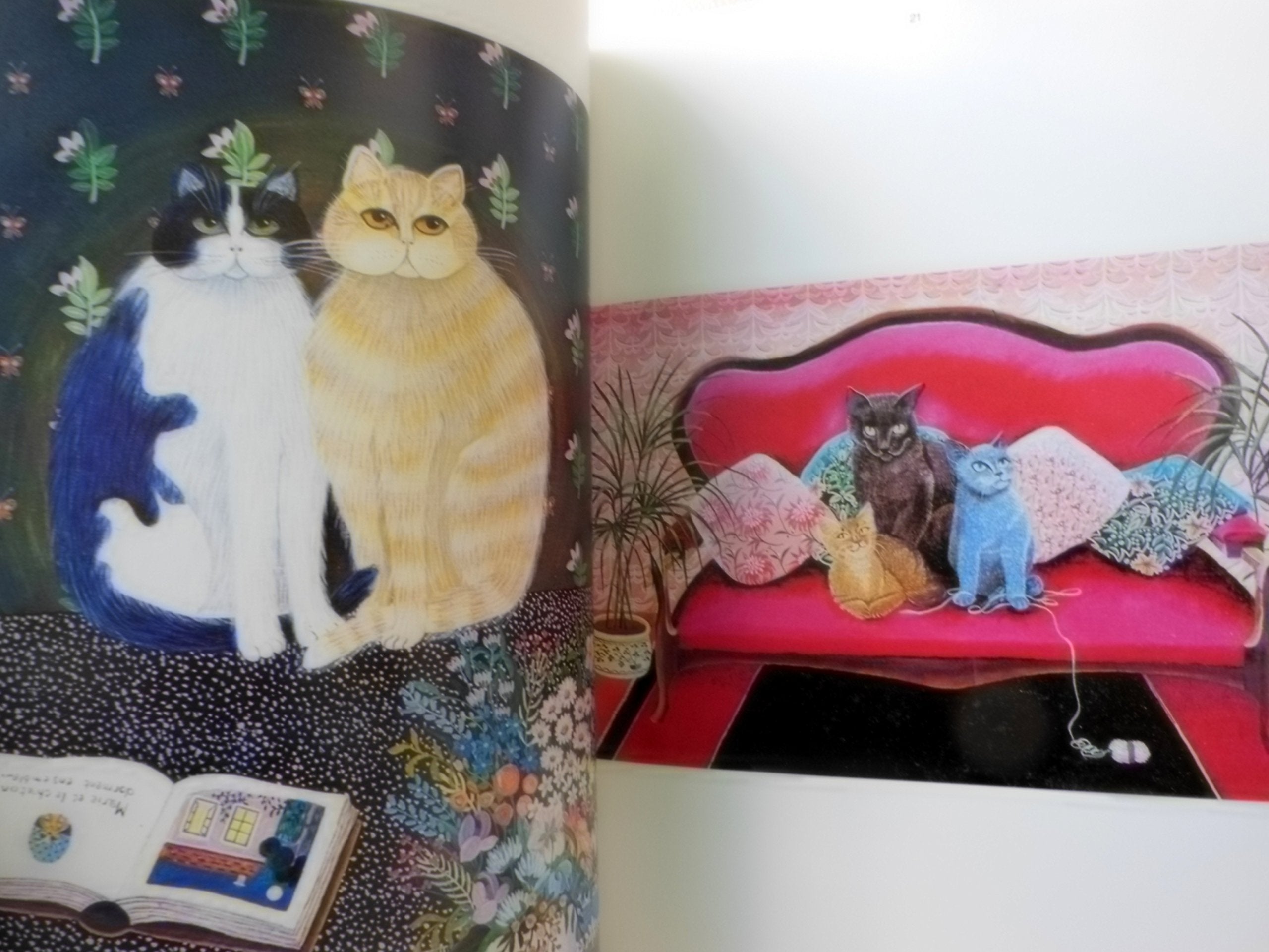 All Our Cats,Used