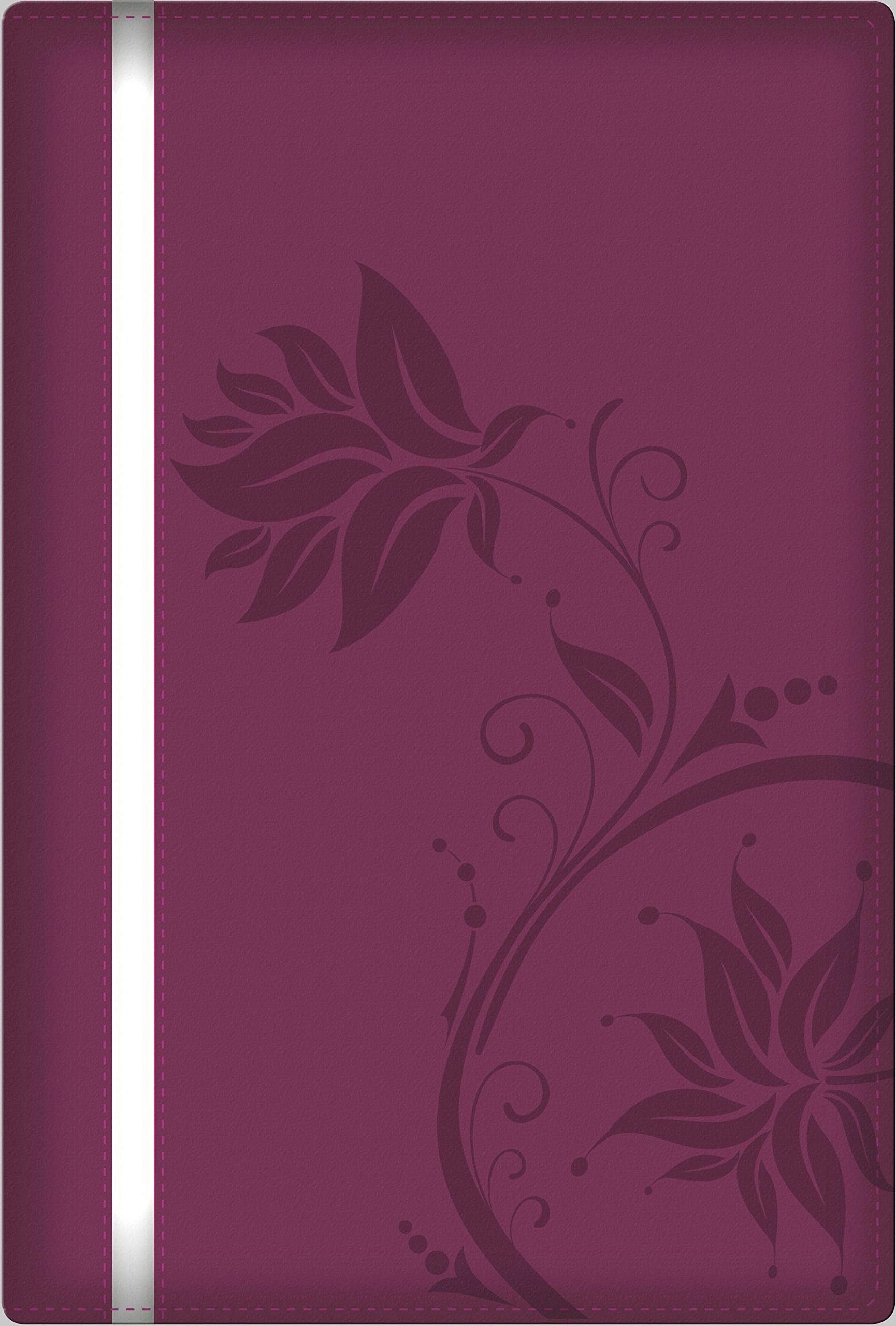 A Woman After God's Own Heart Bible,Used