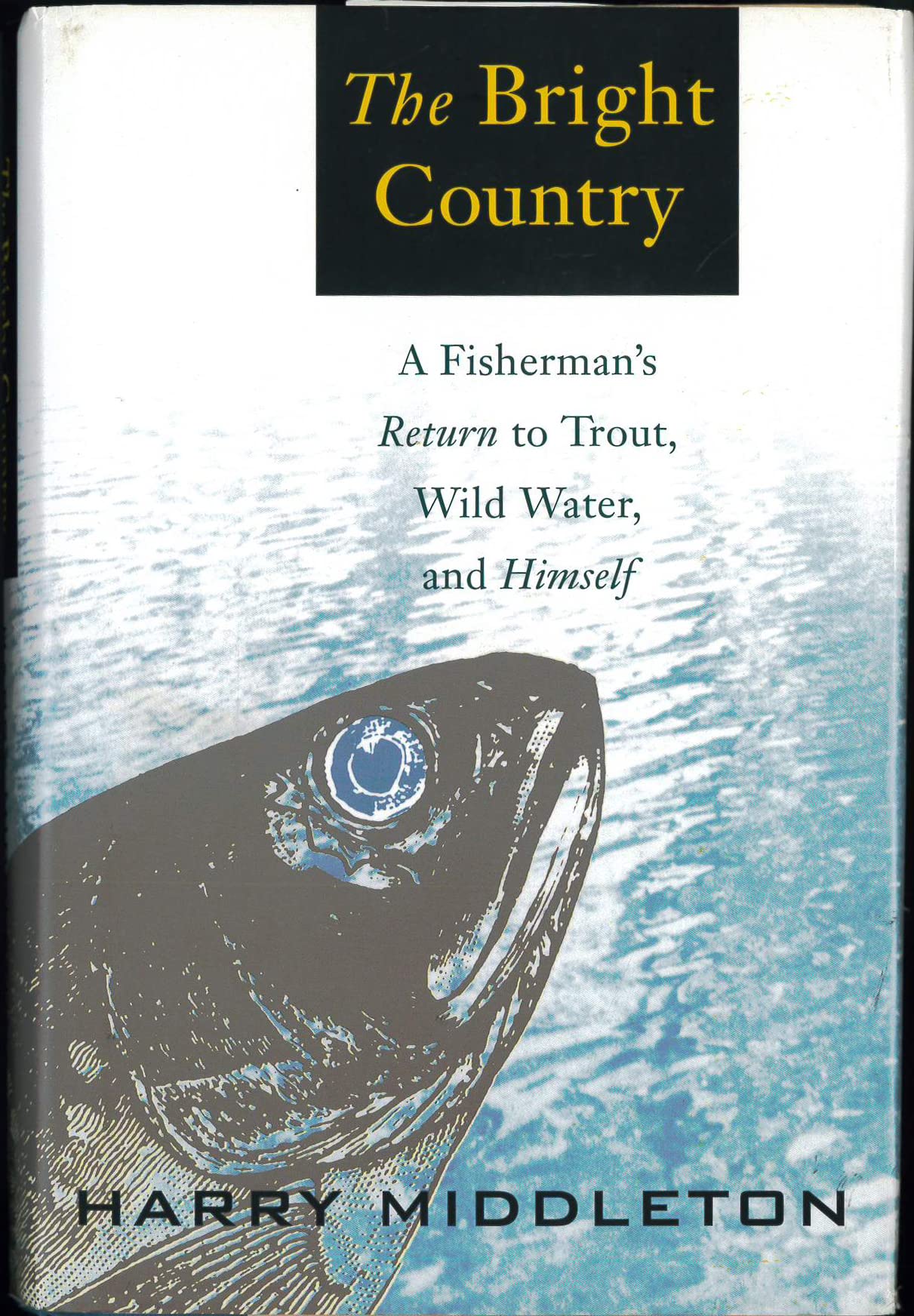 The Bright Country: A Fisherman'S Return To Trout, Wild Water, And Himself,New