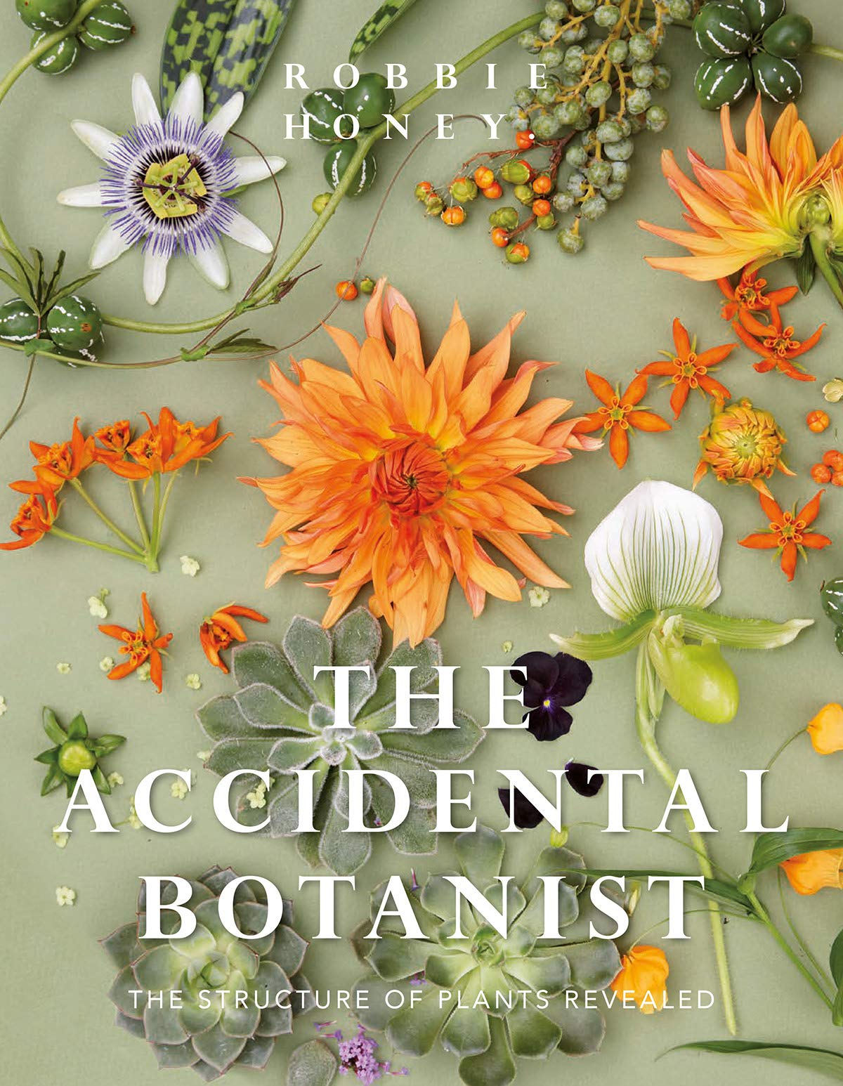 The Accidental Botanist: A Deconstructed Flower Book,Used