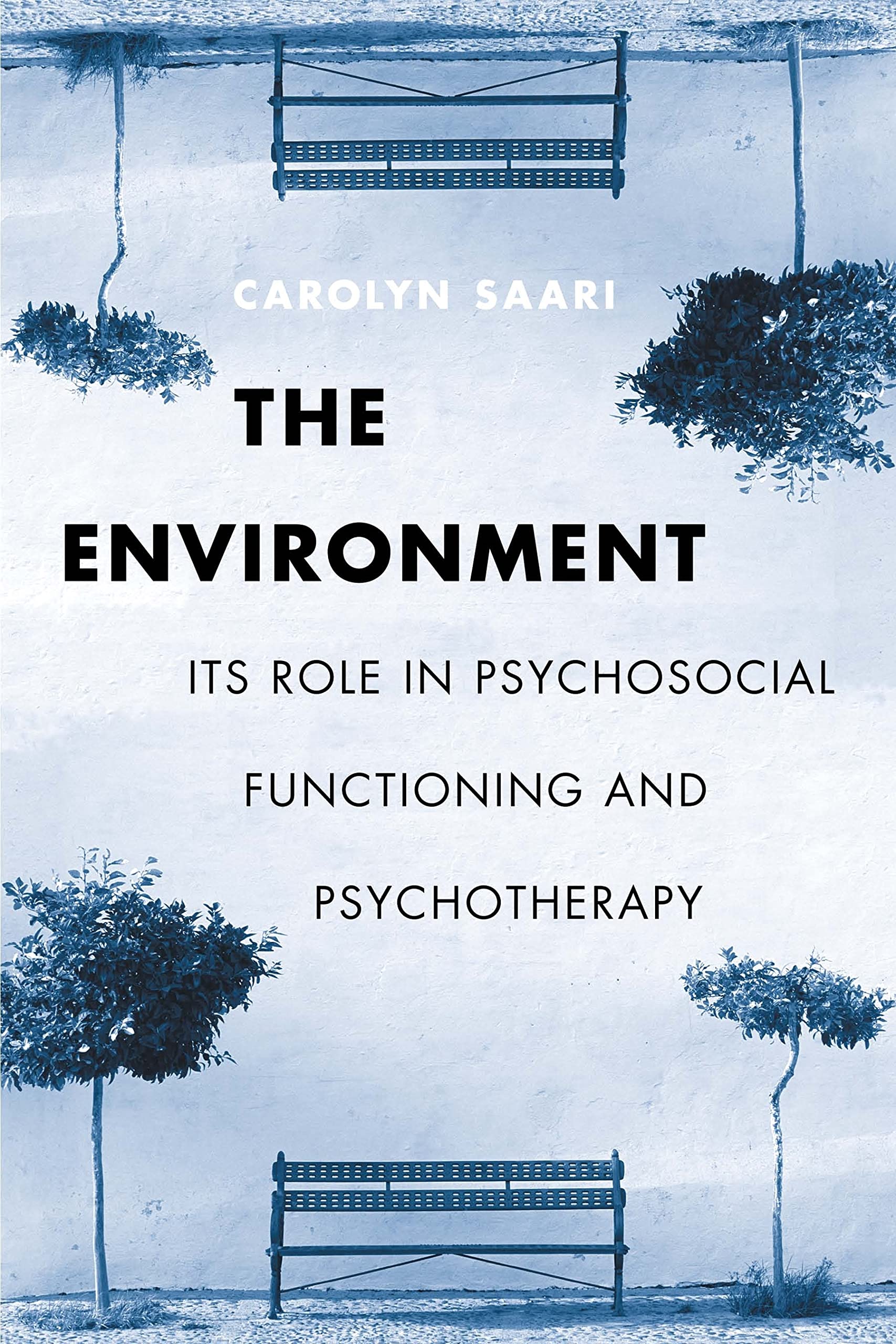 The Environment: Its Role In Psychosocial Functioning And Psychotherapy,New