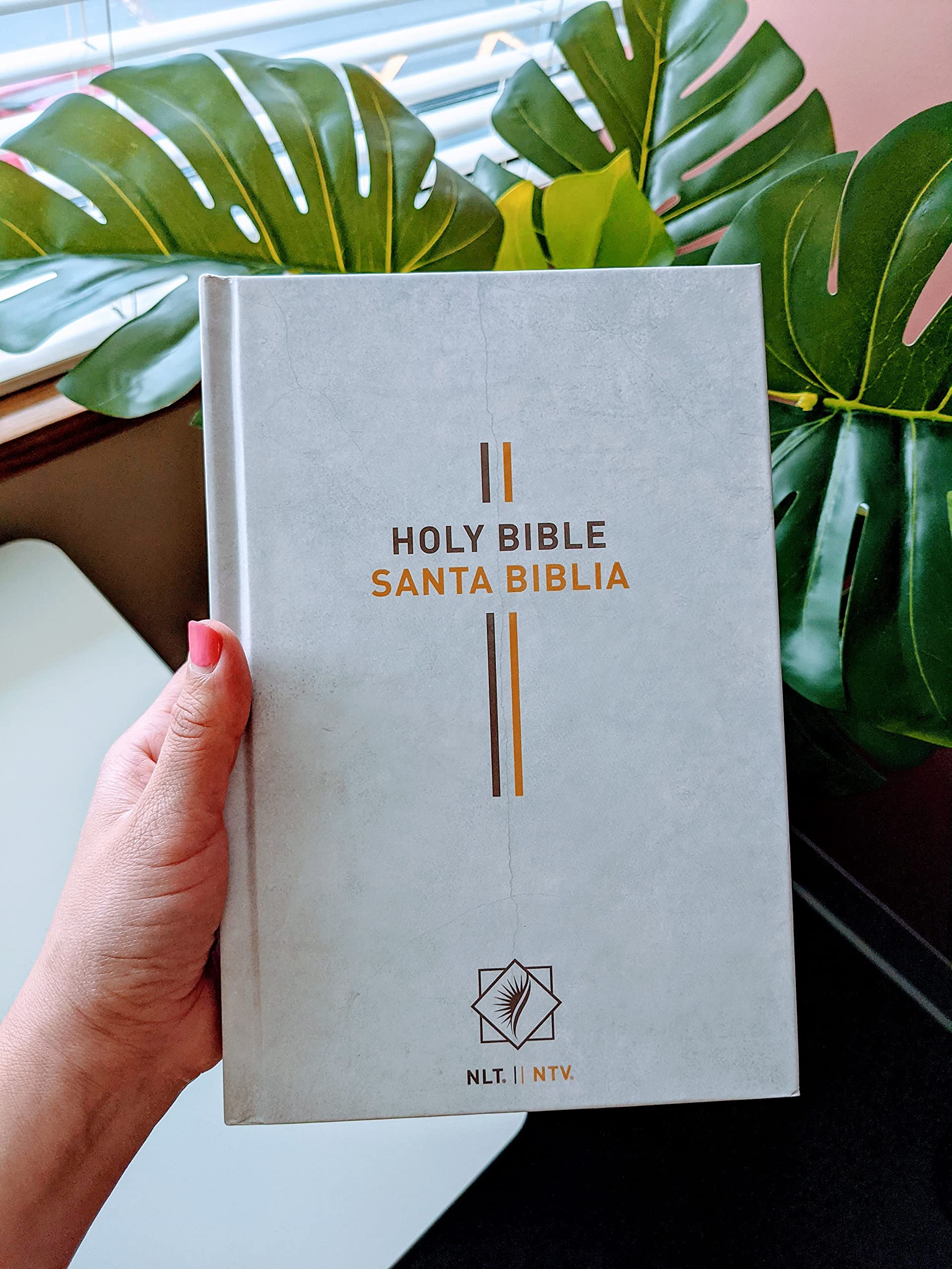 Bilingual Bible / Biblia biling?e NLT/NTV (Hardcover, Gray),Used