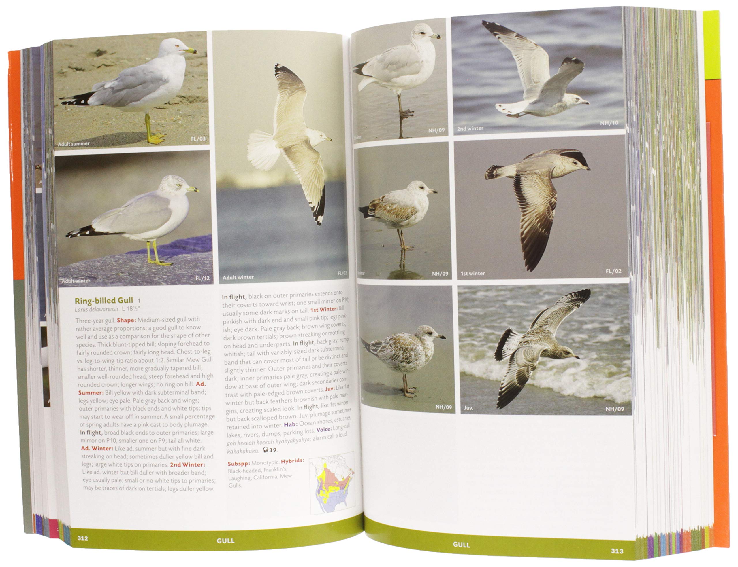 The Stokes Field Guide to the Birds of North America (Stokes Field Guides),Used
