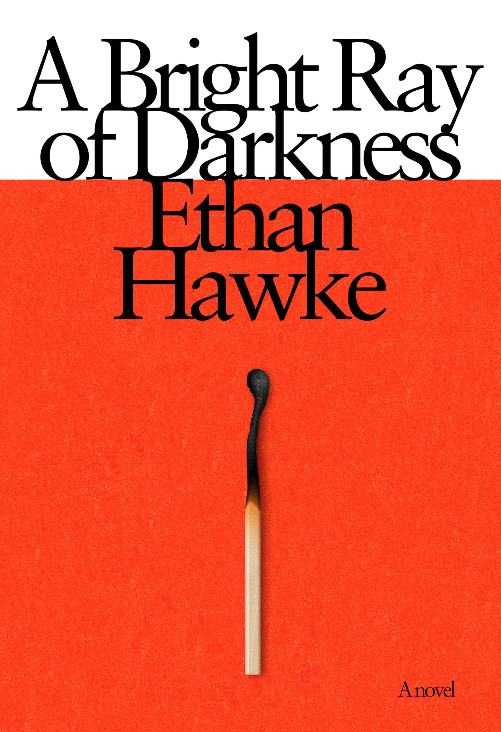 A Bright Ray of Darkness: A novel,New