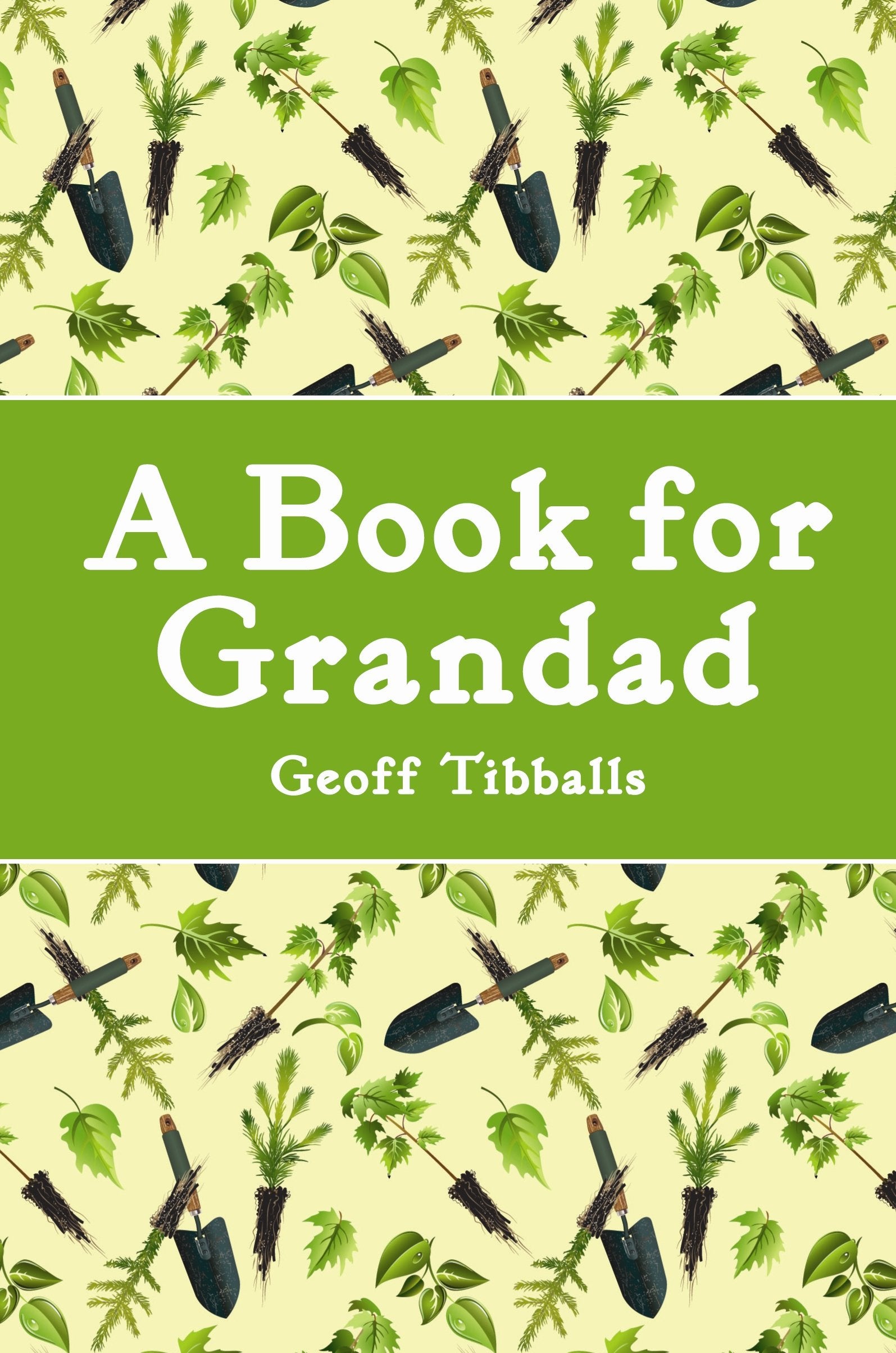 A Book for Grandad,Used