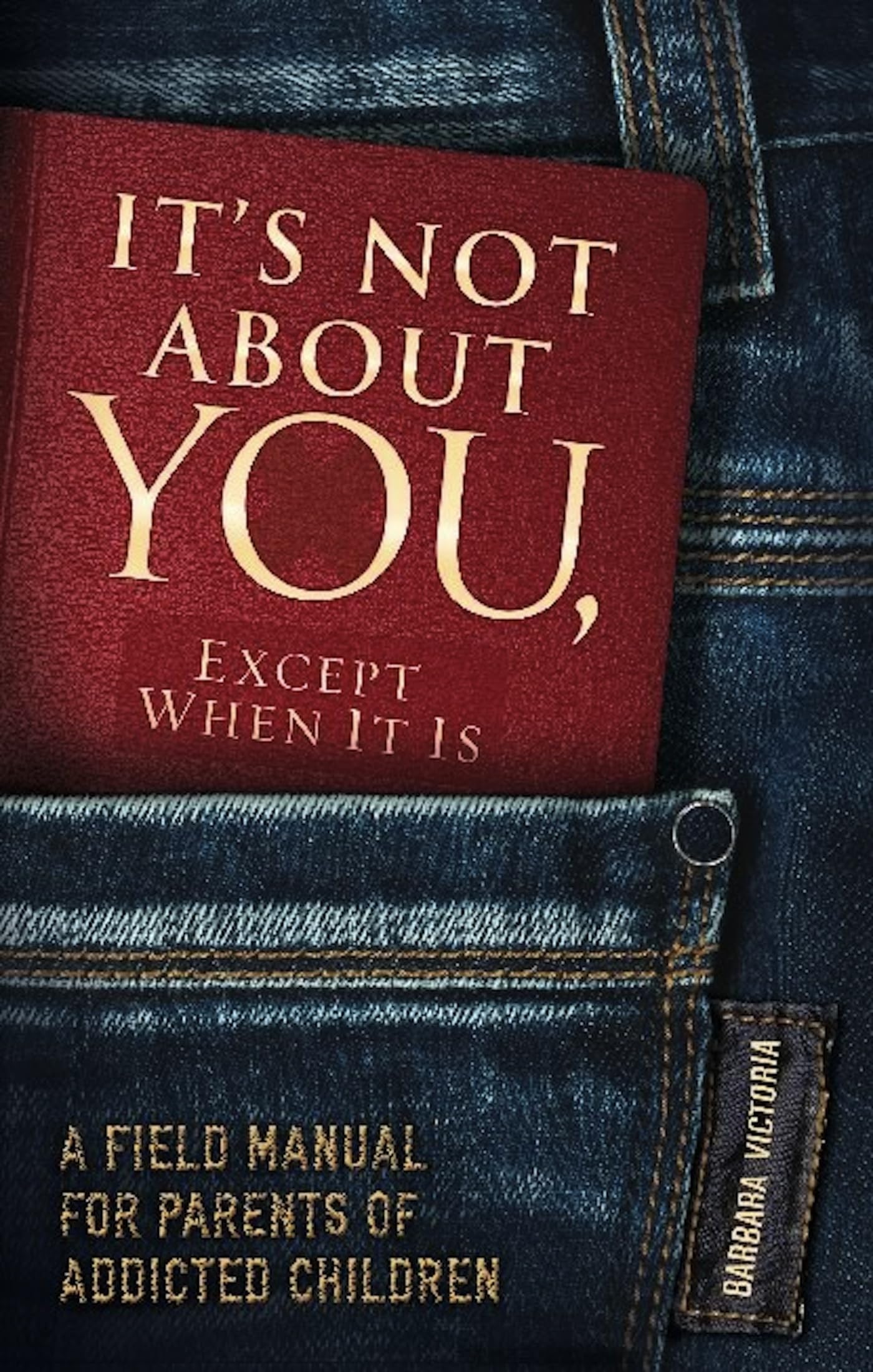 It's Not About You, Except When It Is: A Field Manual For Parents of Addicted Children,Used