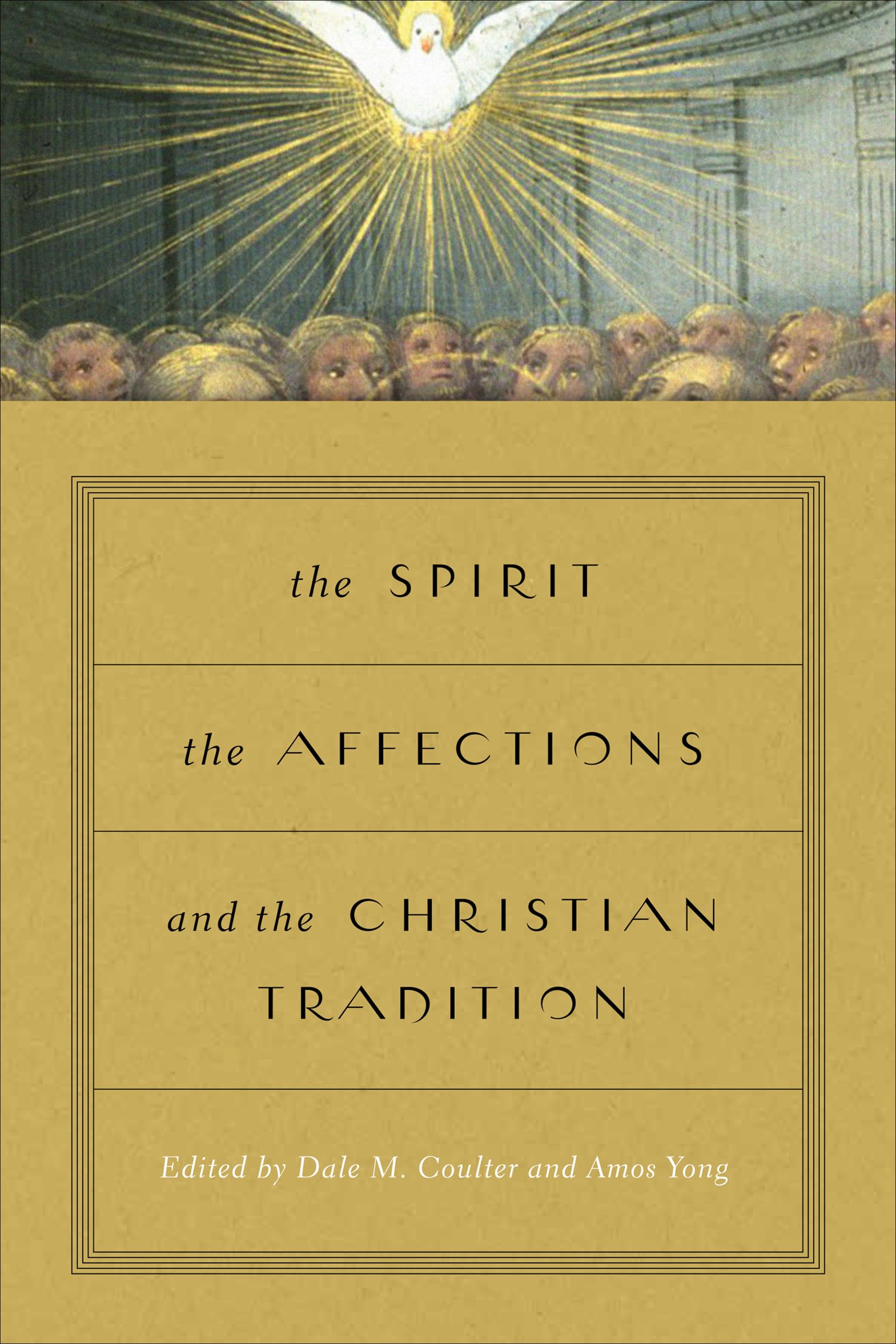 The Spirit, the Affections, and the Christian Tradition,Used