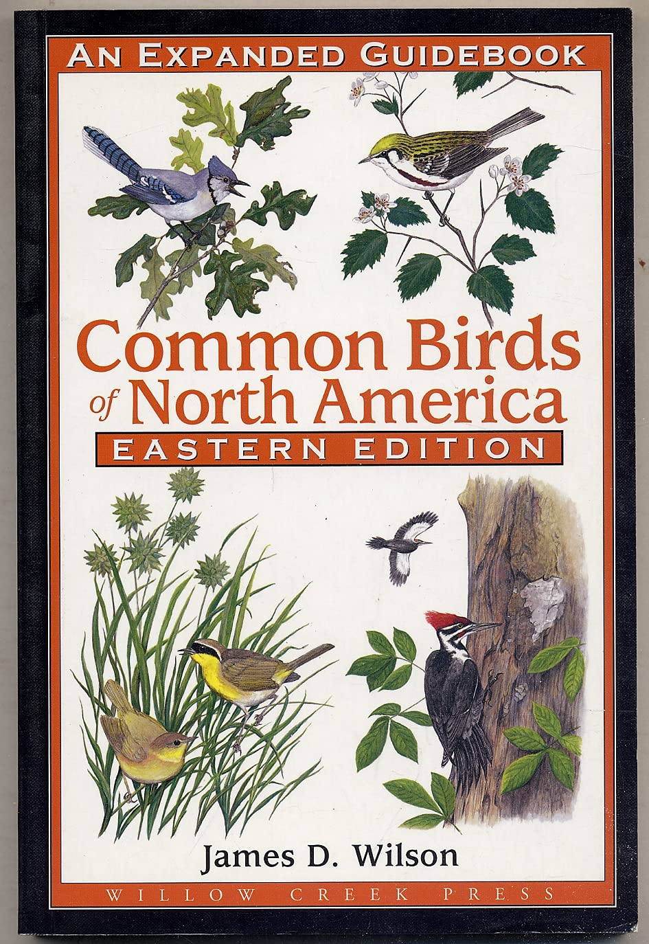 Common Birds of North America: An Expanded Guidebook, Eastern Edition,New