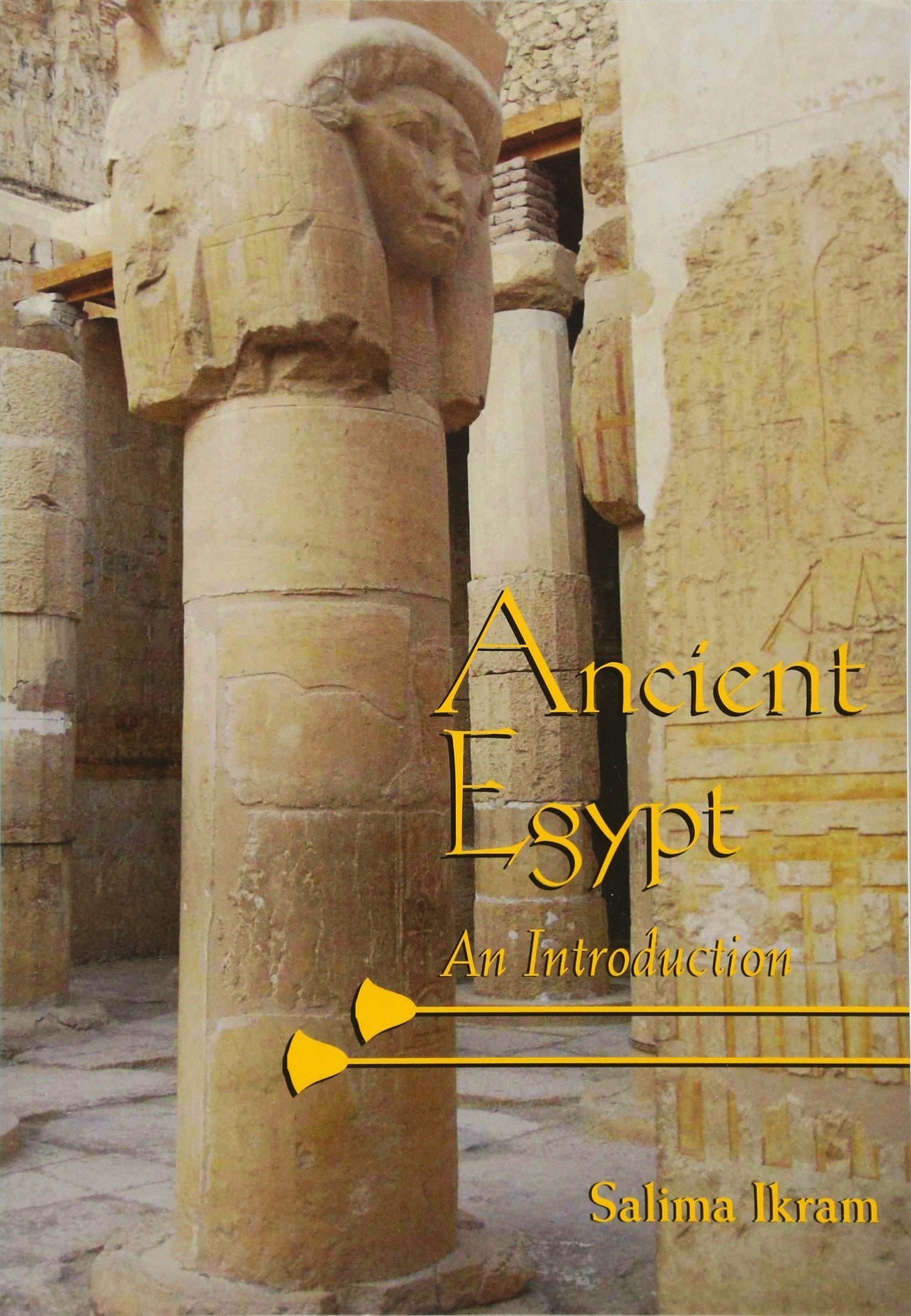 Ancient Egypt: An Introduction,Used