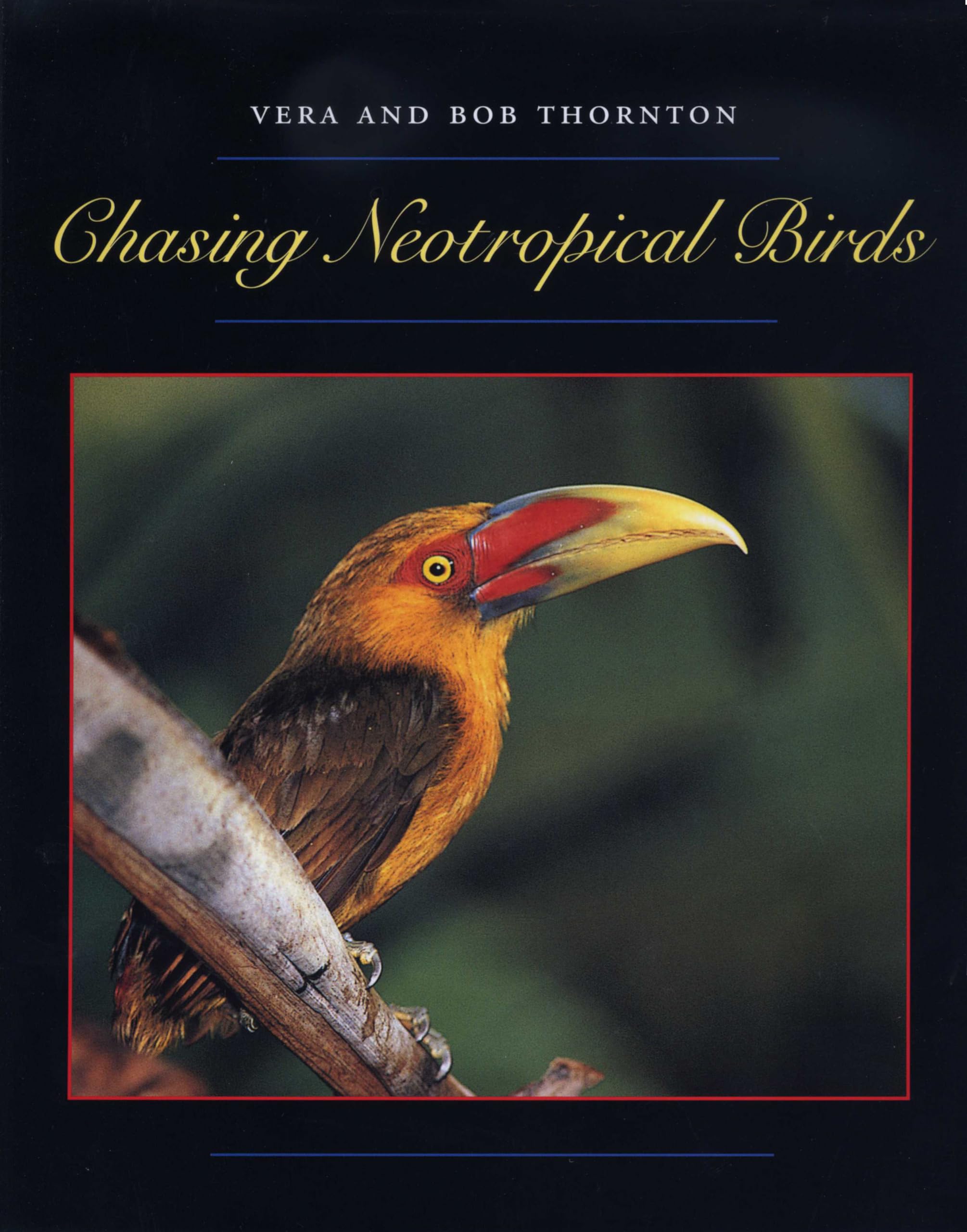 Chasing Neotropical Birds (Corrie Herring Hooks Series),Used