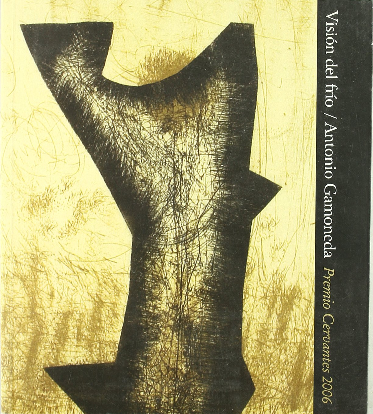 Visin del frio. Antonio Gamoneda. Premio Dervantes 2006,Used
