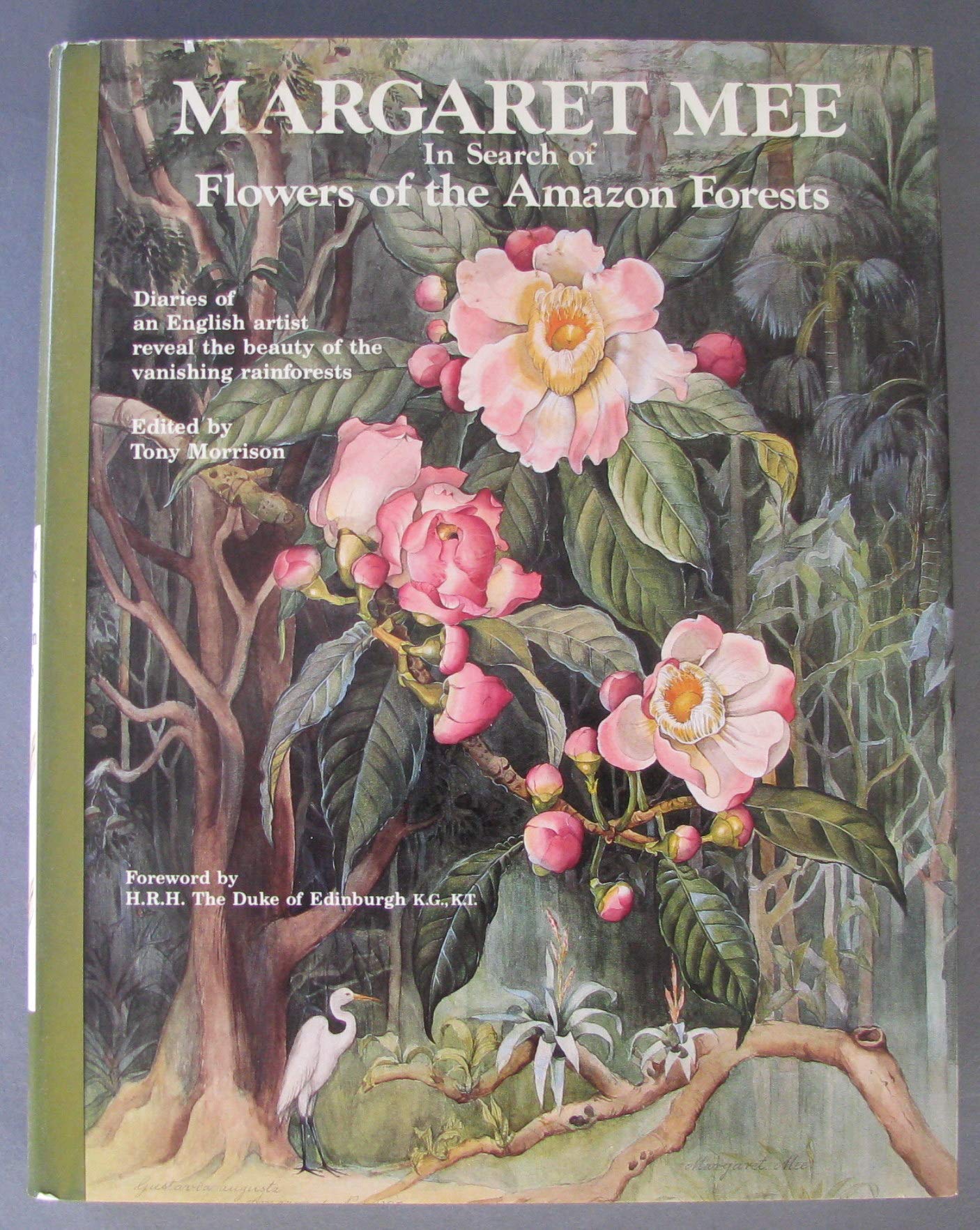 Margaret Mee In Search of Flowers of the Amazon Forests: Diaries of an English Artist Reveal the Beauty of the Vanishing Rainfor,Used
