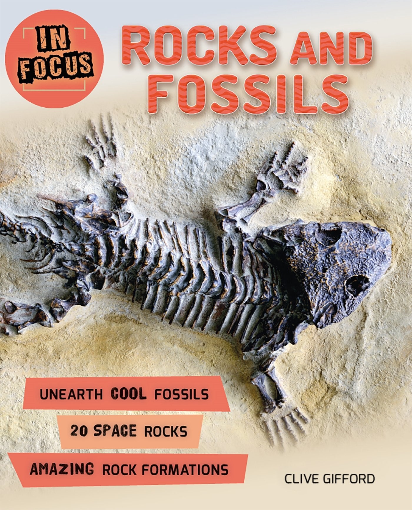 In Focus: Rocks and Fossils,Used