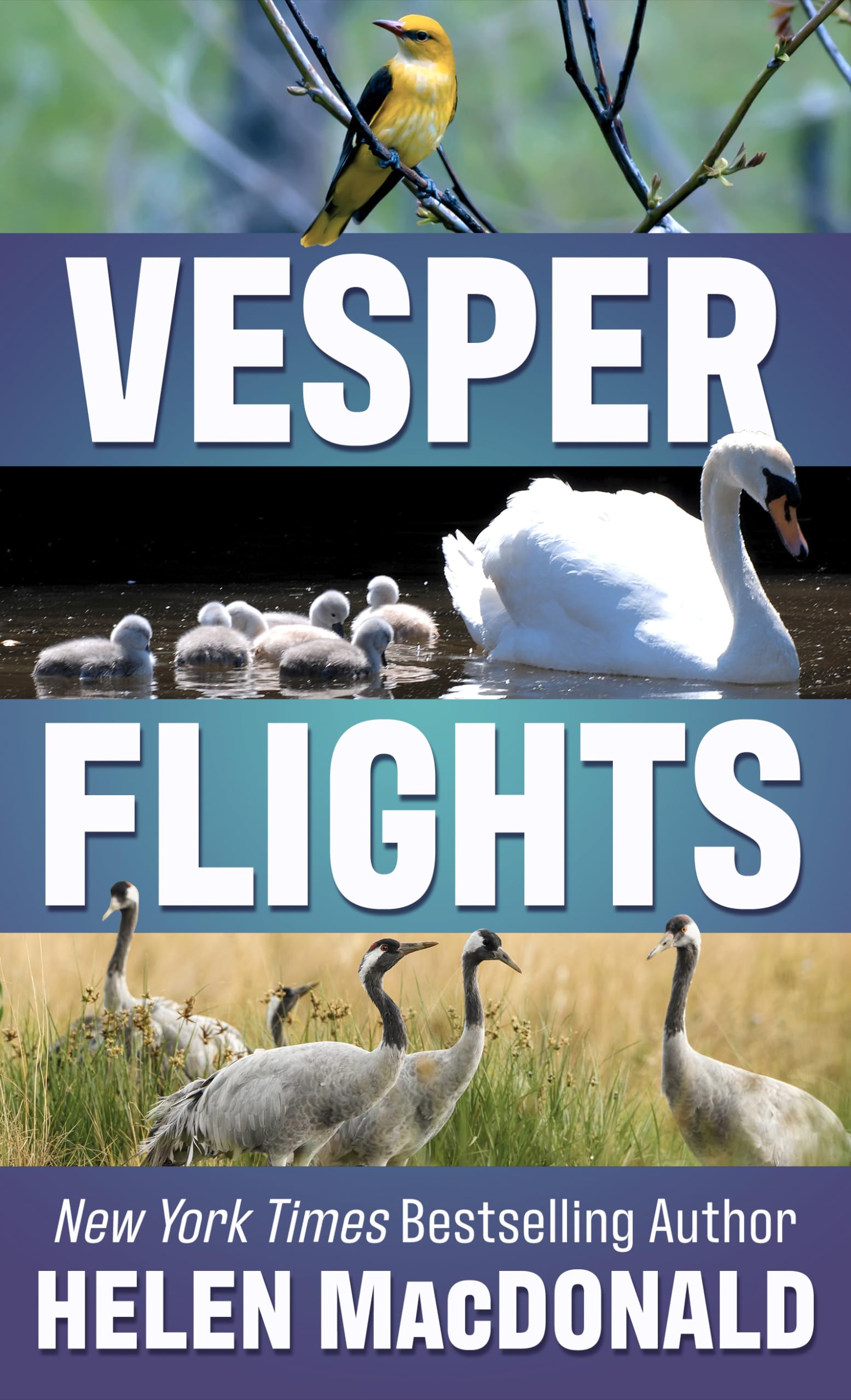 Vesper Flights,Used
