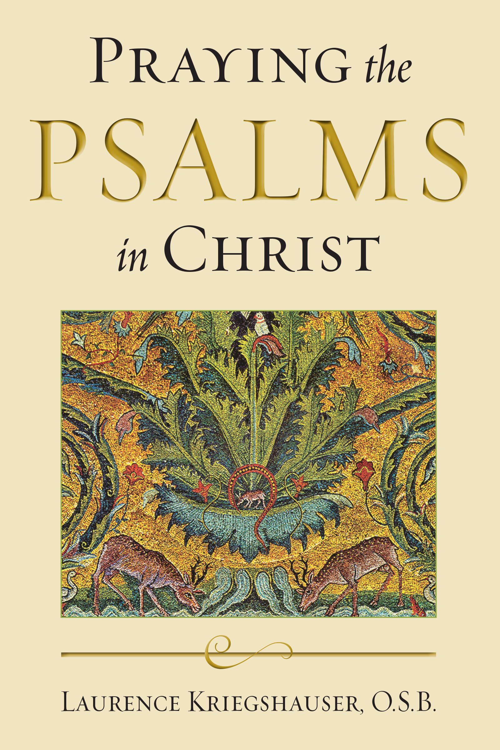 Praying the Psalms in Christ (Reading the Scriptures),New