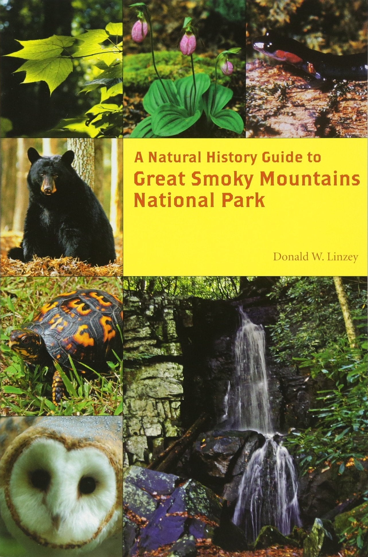 A Natural History Guide: Great Smoky Mountains National Park,Used
