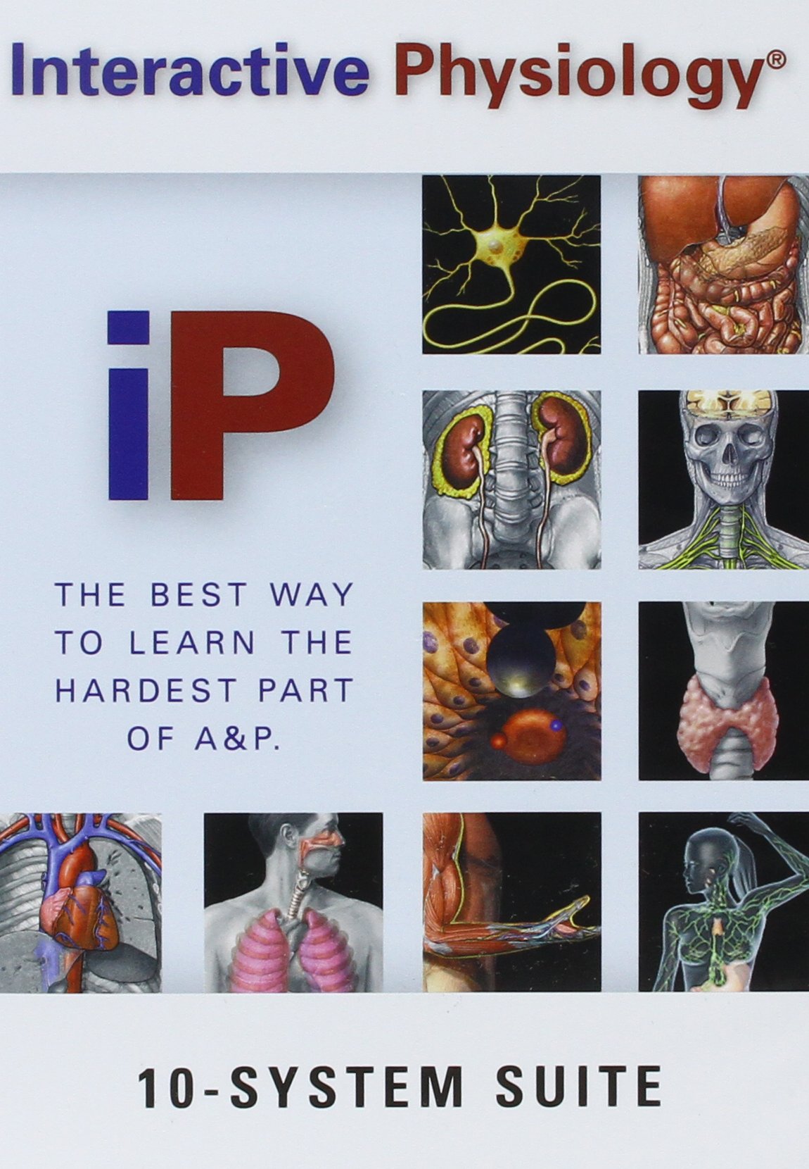 Interactive Physiology: 10System Suite,Used