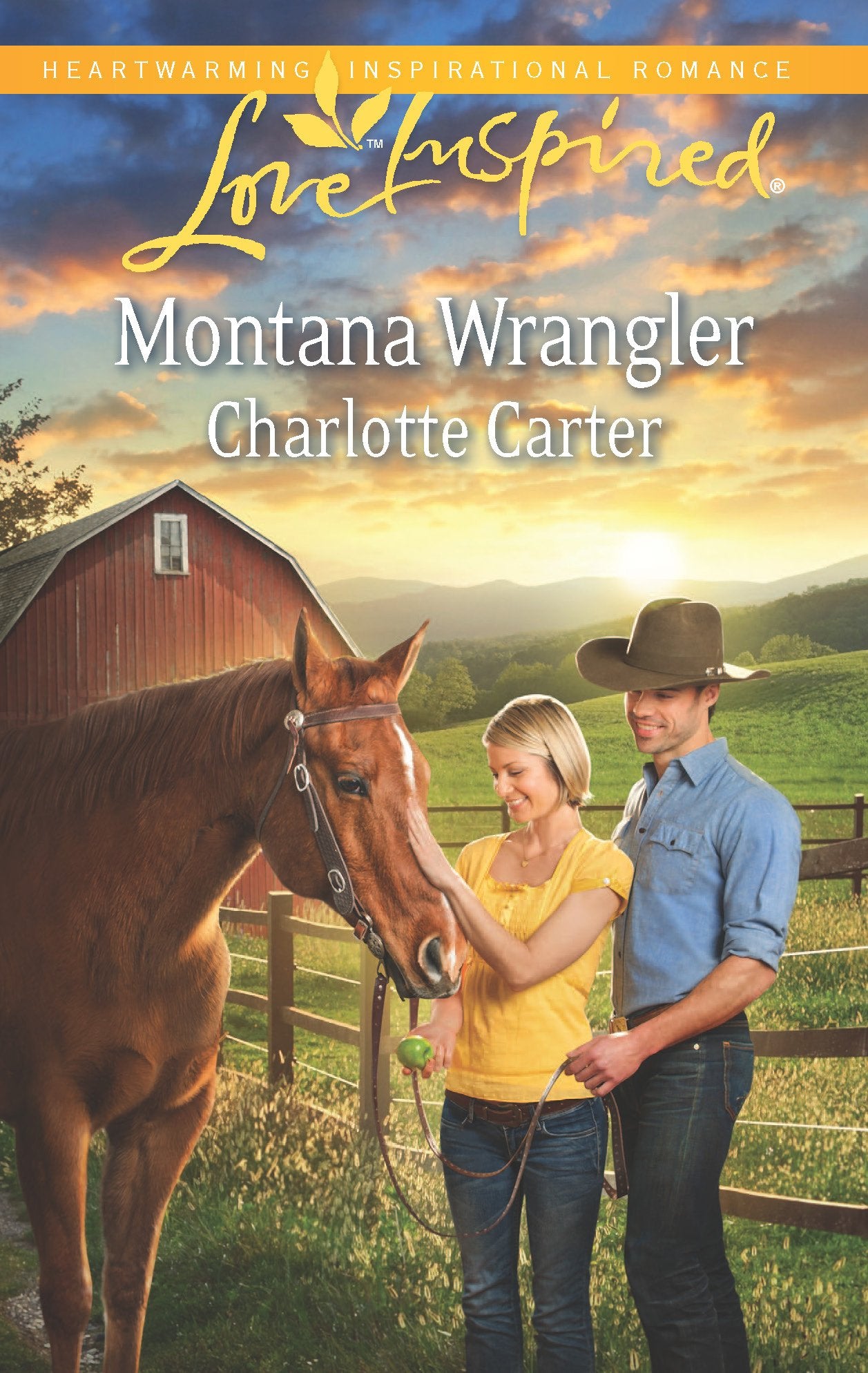 Montana Wrangler (Love Inspired),Used