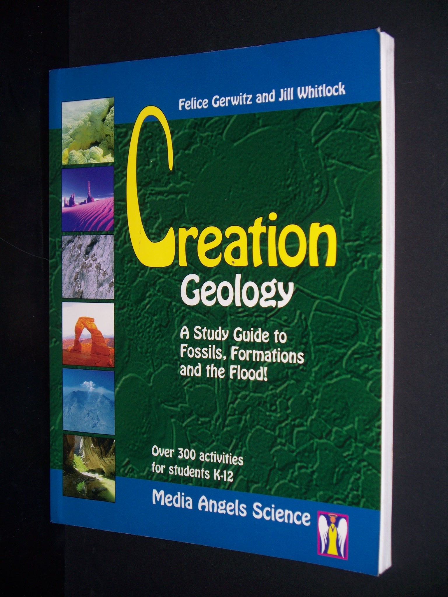 Creation Geology: A Study Guide to Fossils, Formations and the Flood (Creation Study Guides),New