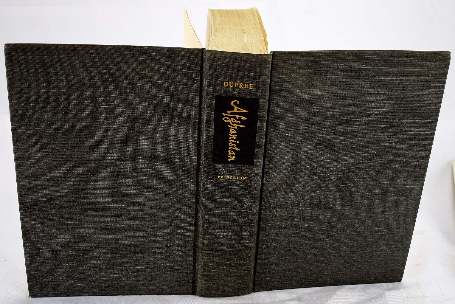 Afghanistan (Princeton Legacy Library, 818),Used