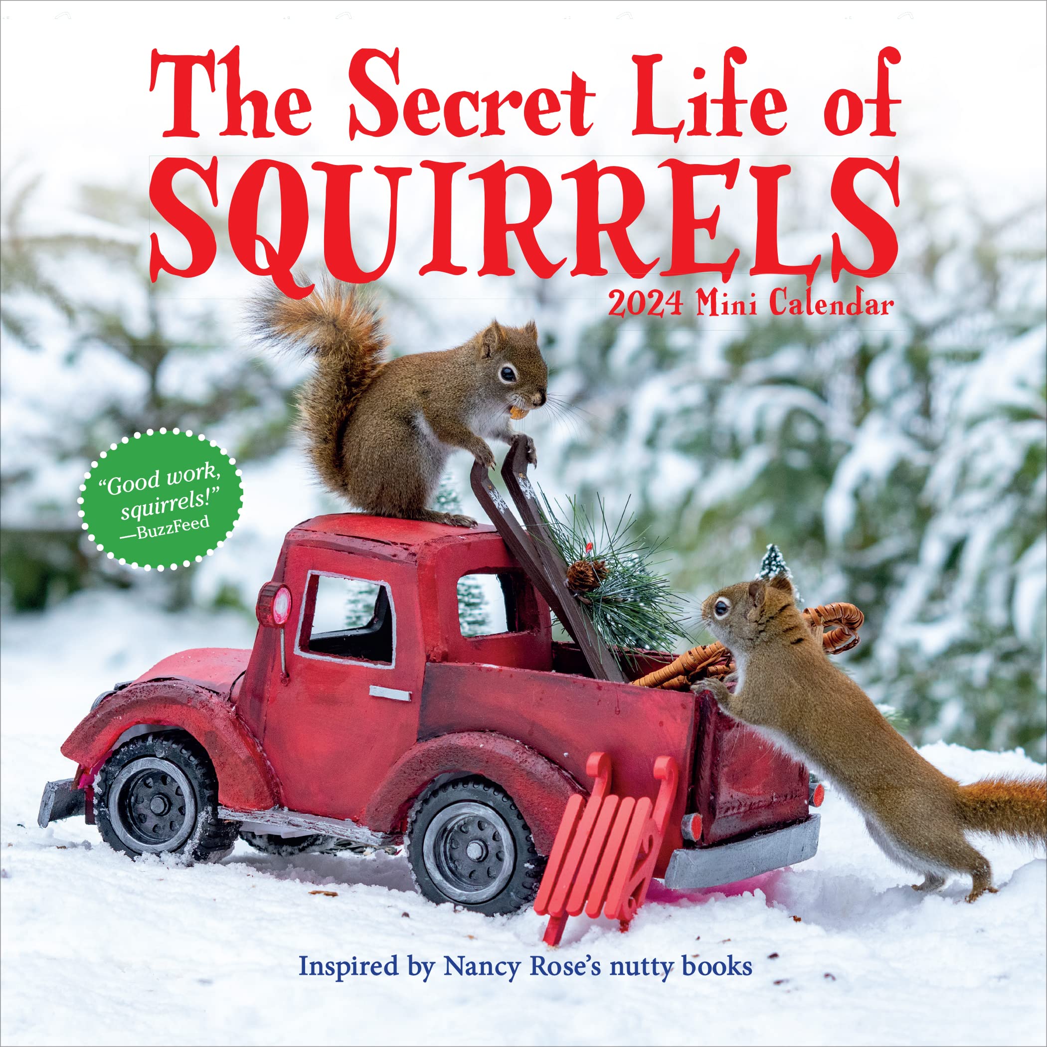The Secret Life Of Squirrels Mini Calendar 2024: Delightfully Nutty Squirrels