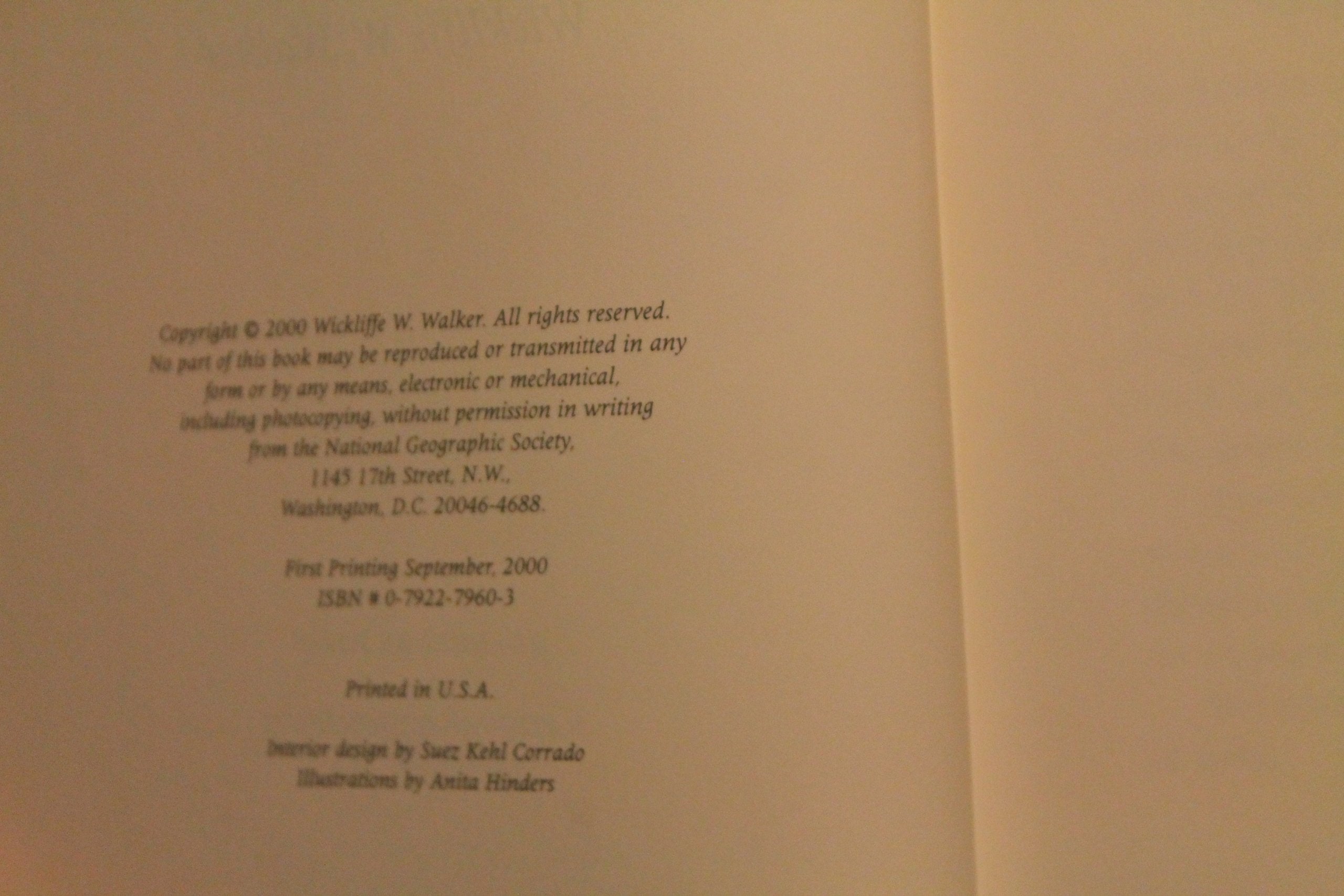 Courting the Diamond Sow : A Whitewater Expedition on Tibet's Forbidden River,New