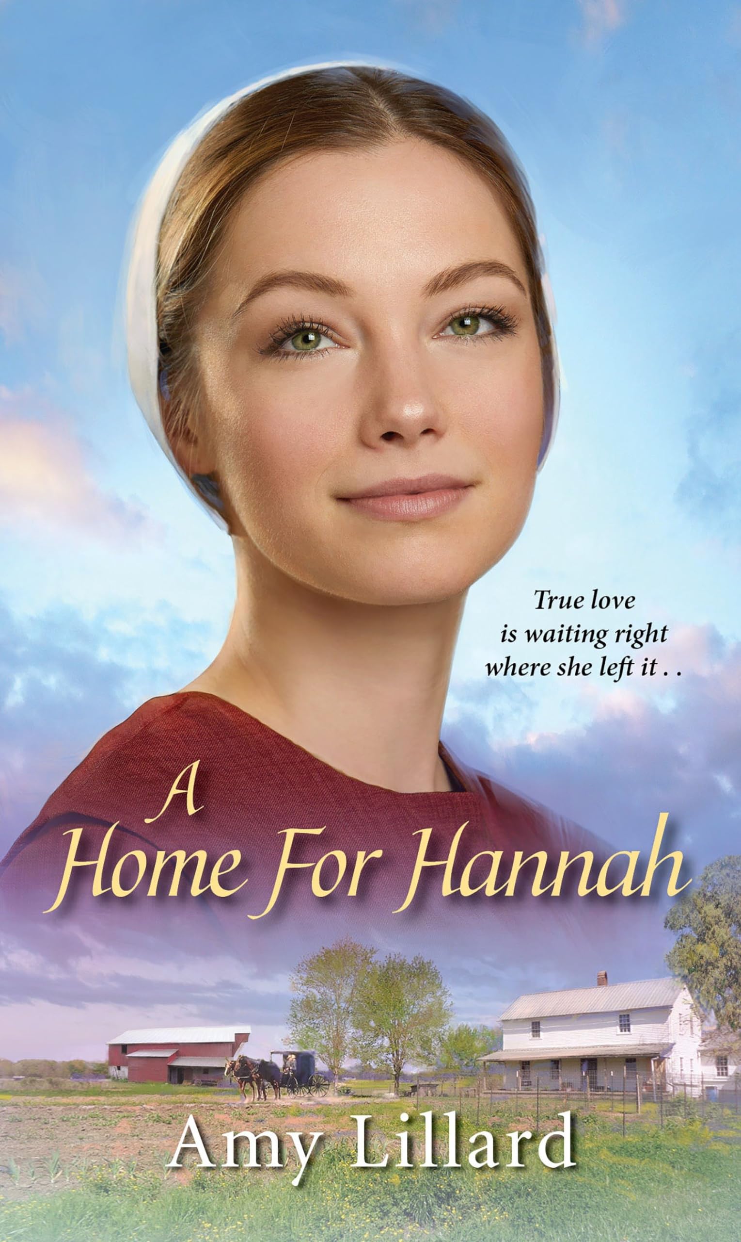 A Home for Hannah (Amish of Pontotoc),Used