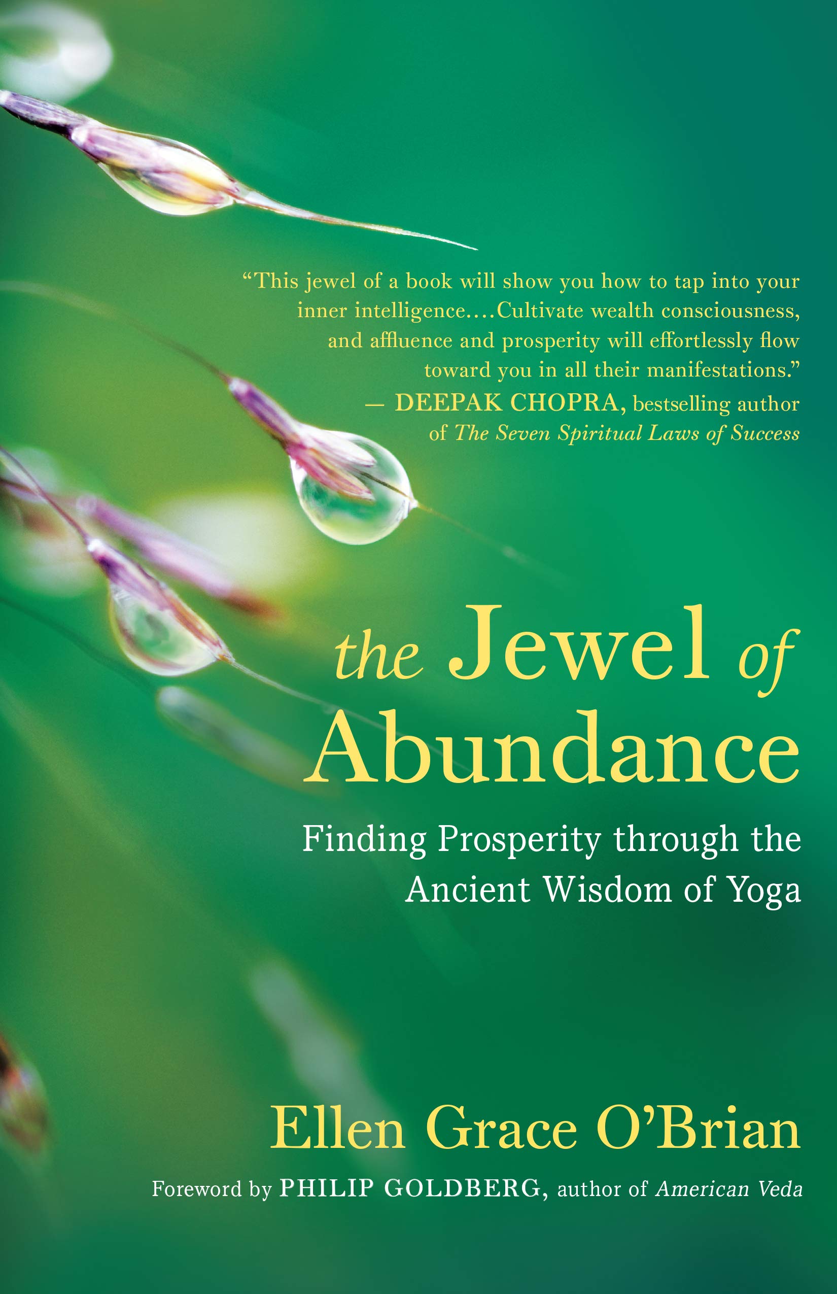 The Jewel Of Abundance: Finding Prosperity Through The Ancient Wisdom Of Yoga