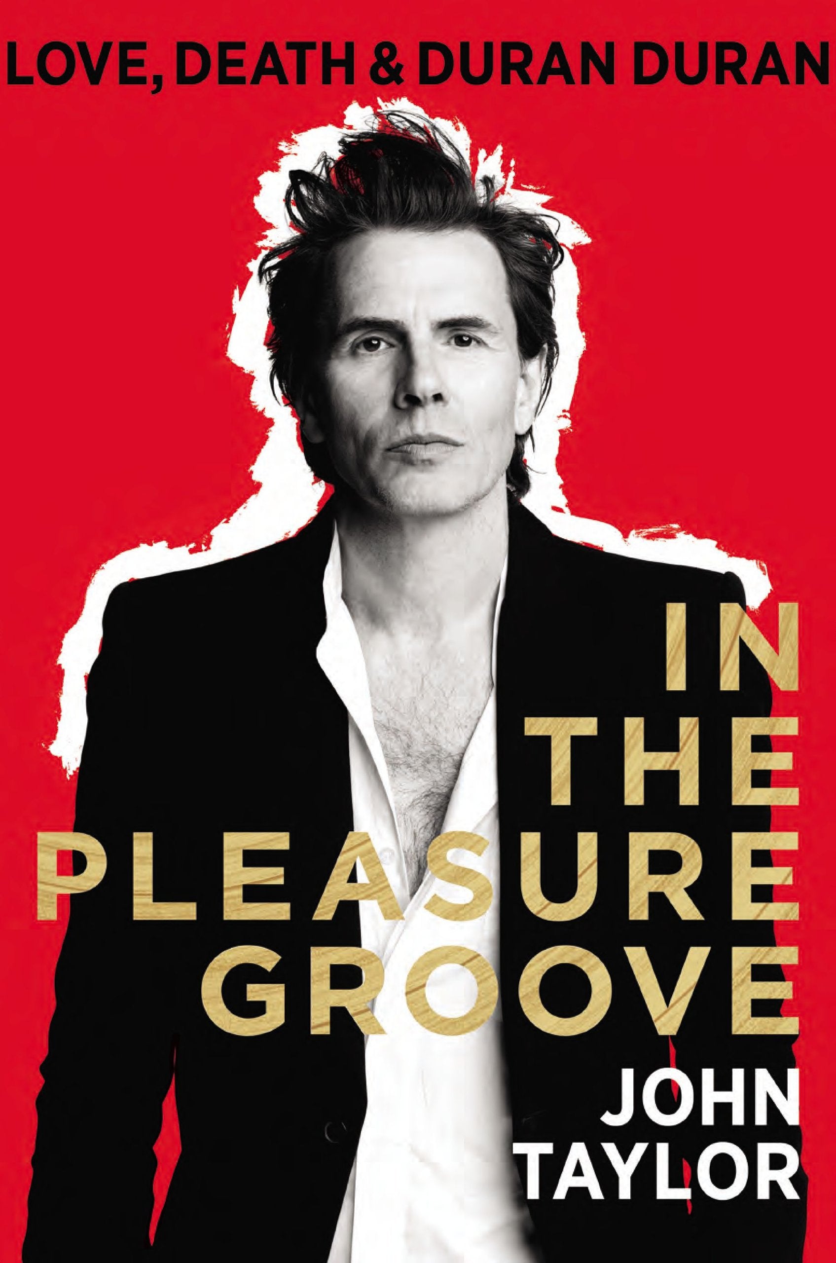 In The Pleasure Groove: Love, Death & Duran Duran,Used