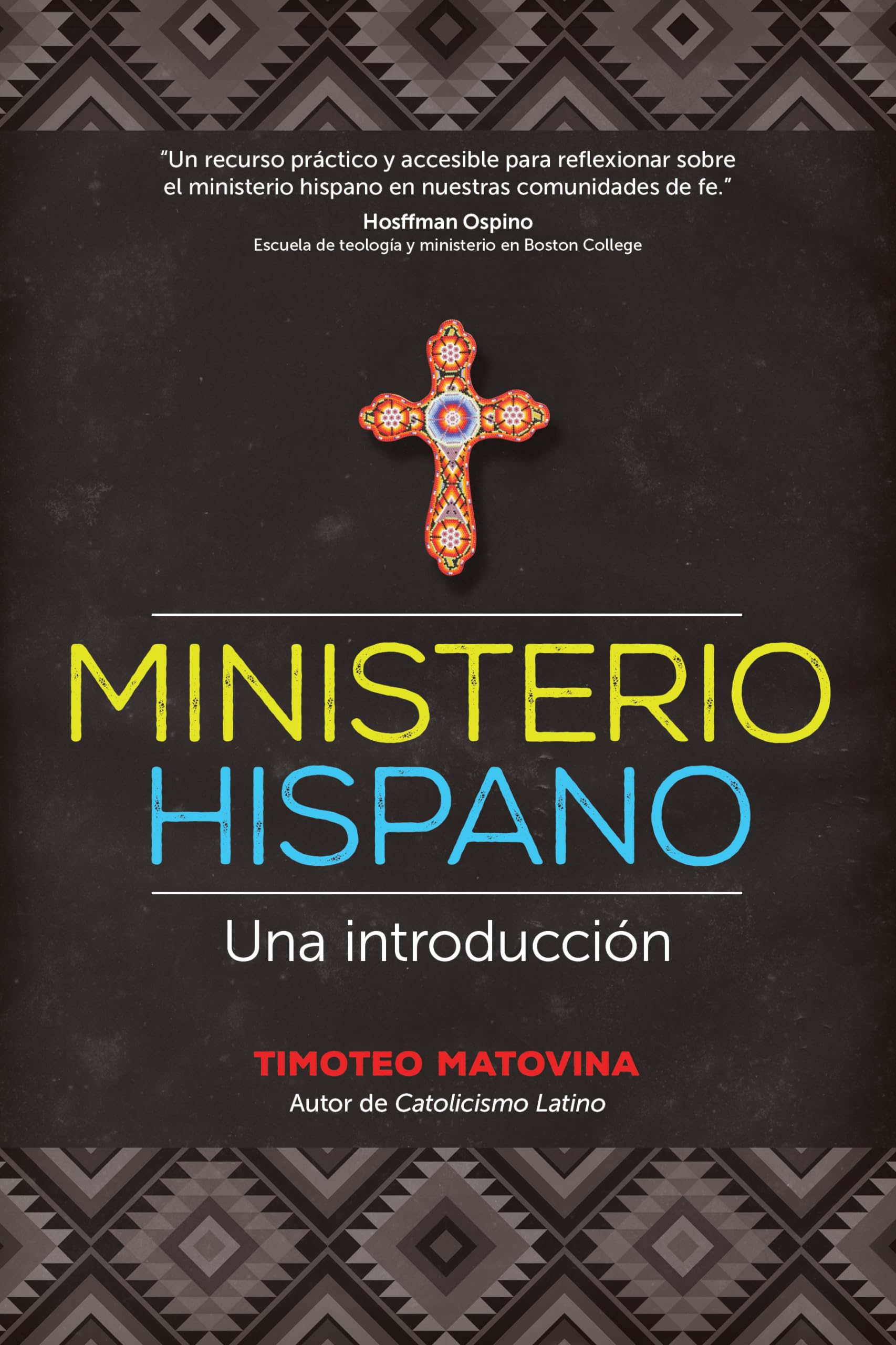 Ministerio hispano: Una introduccin (Recursos para el ministerio hispano) (Spanish Edition),Used