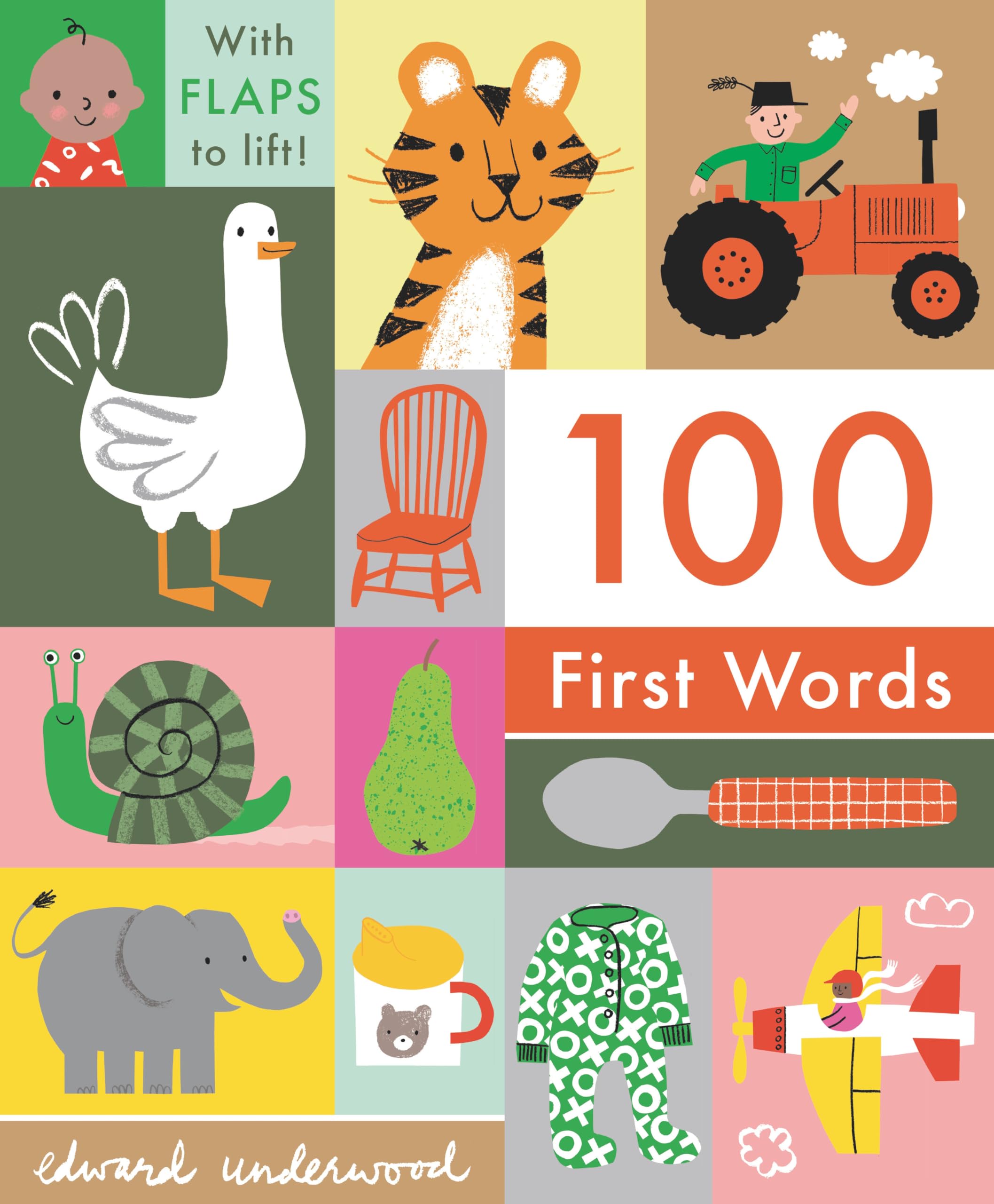 100 First Words: With Flaps to Lift,New