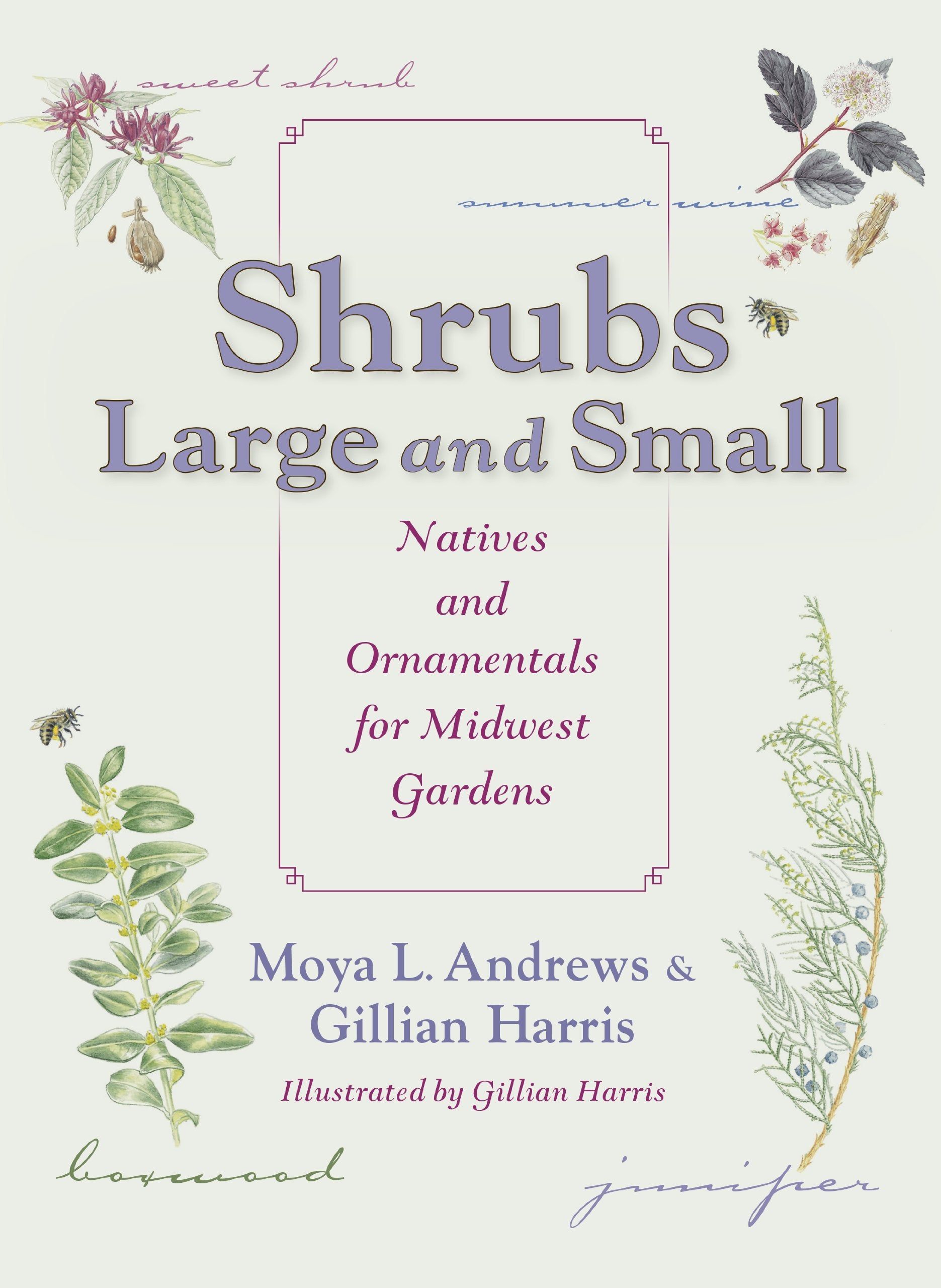 Shrubs Large and Small: Natives and Ornamentals for Midwest Gardens,Used