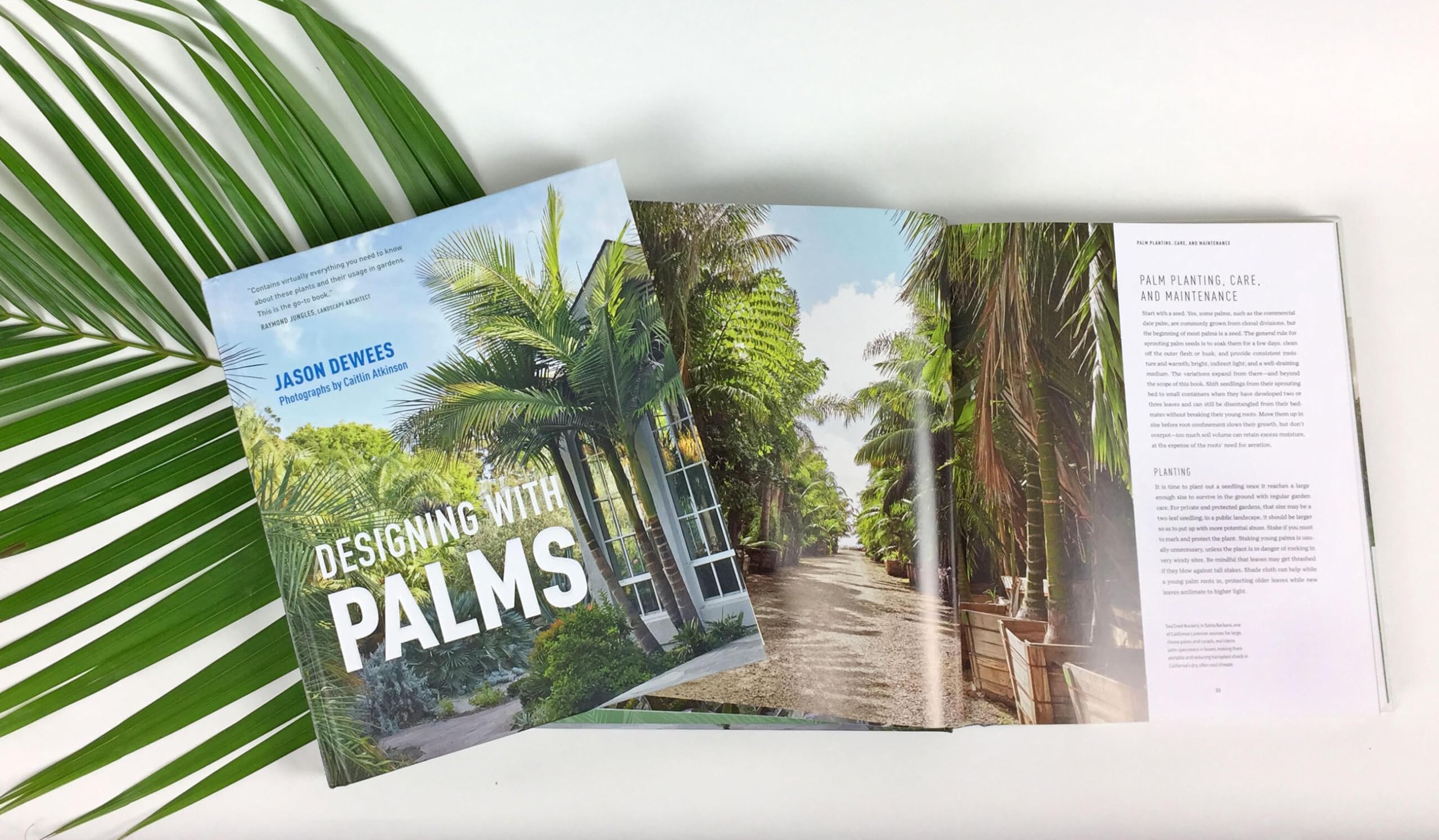 Designing with Palms,Used