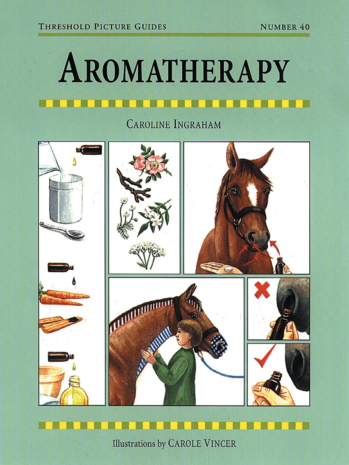 Aromatherapy (Threshold Picture Guides),Used