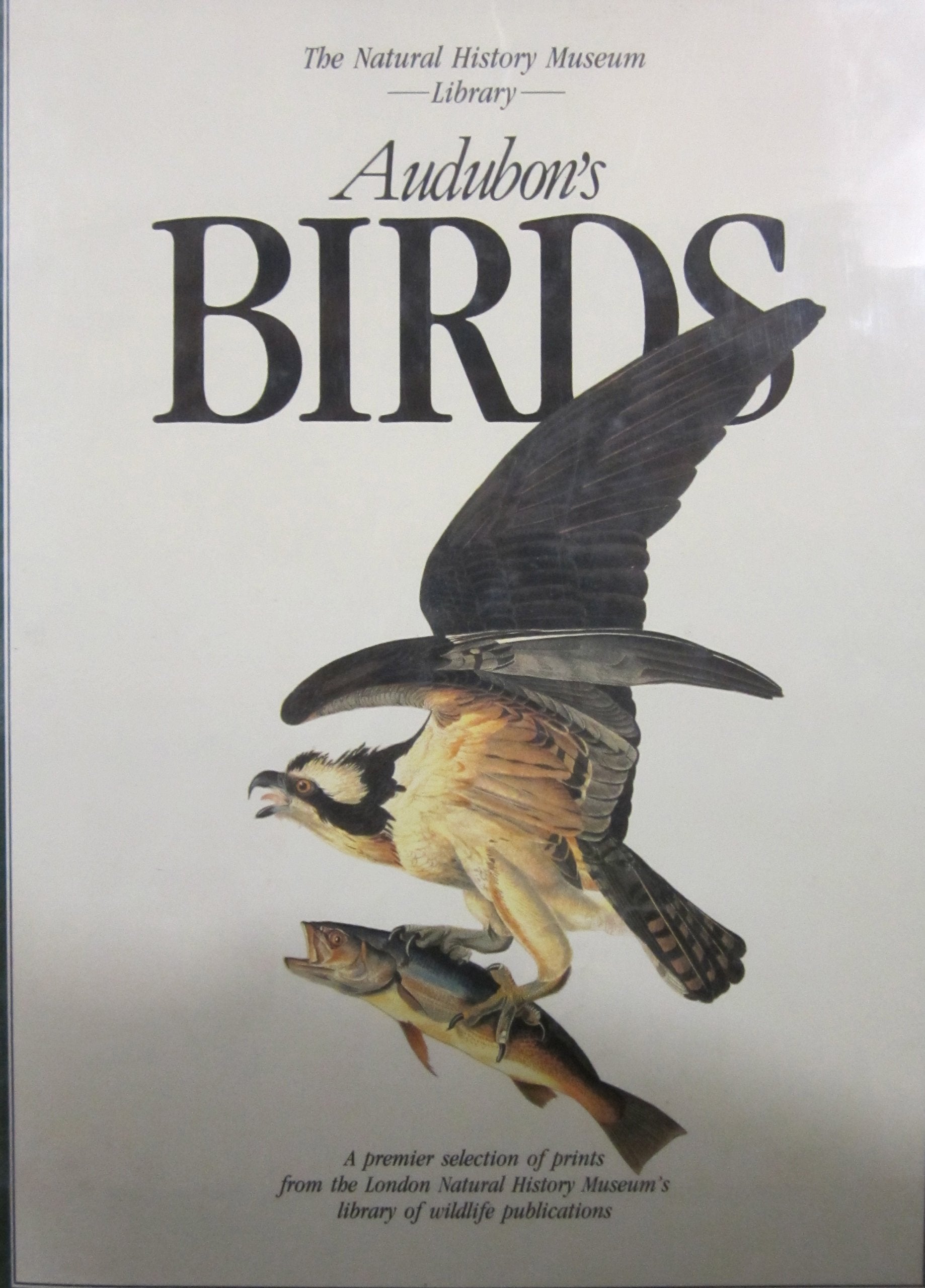 Audubon'S Birds (The Natural History Museum Library),Used