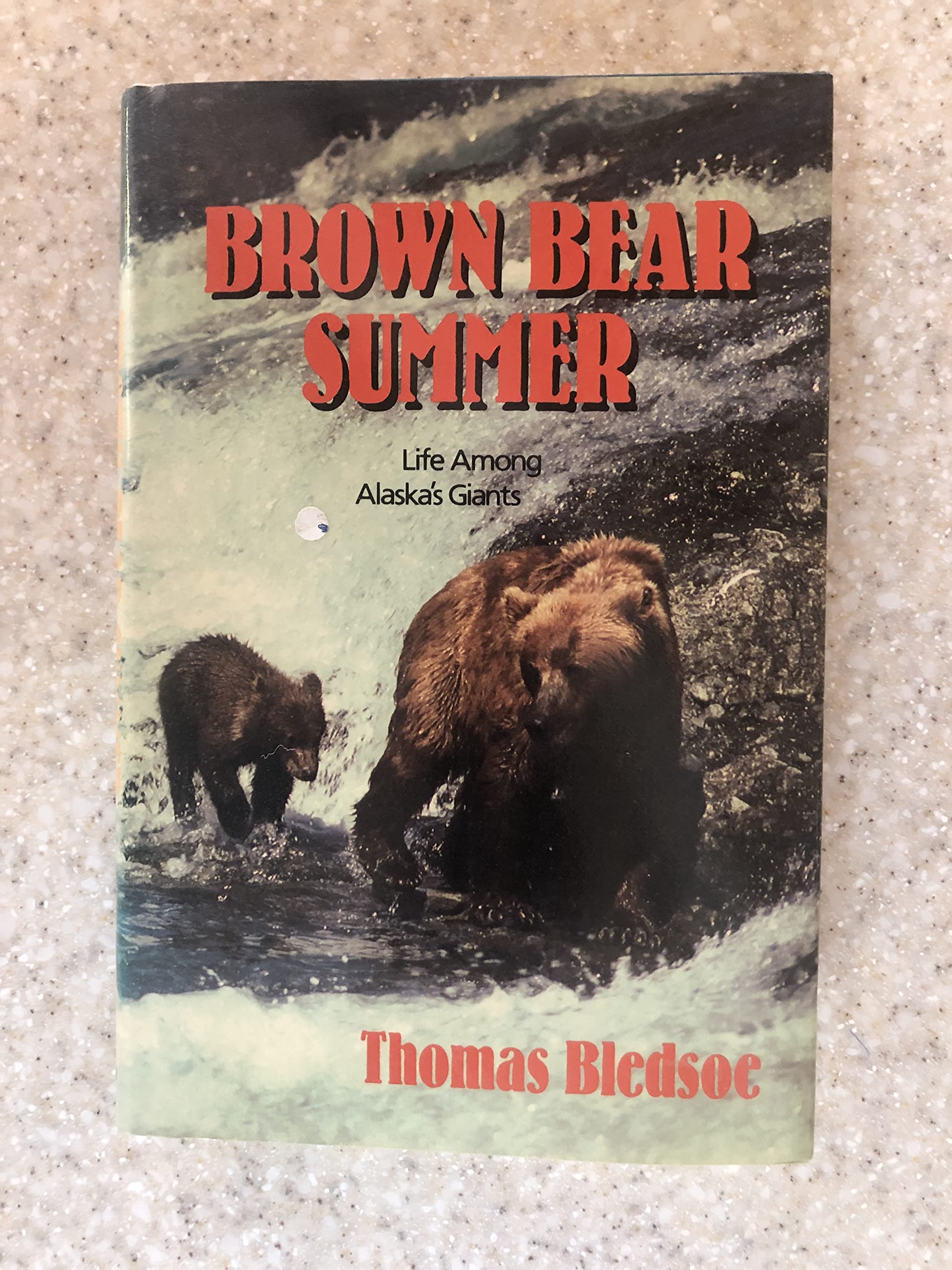 Brown Bear Summer,Used