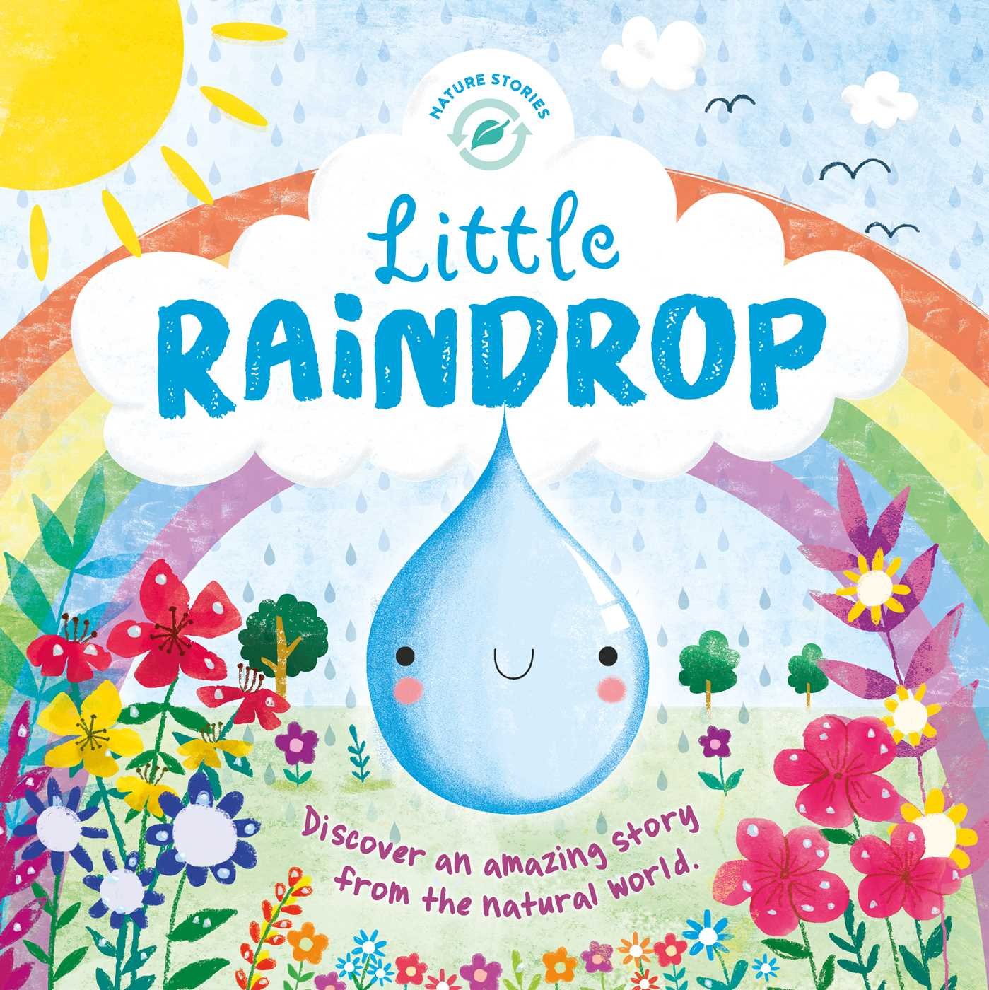 Little Raindrop (Nature Stories),Used
