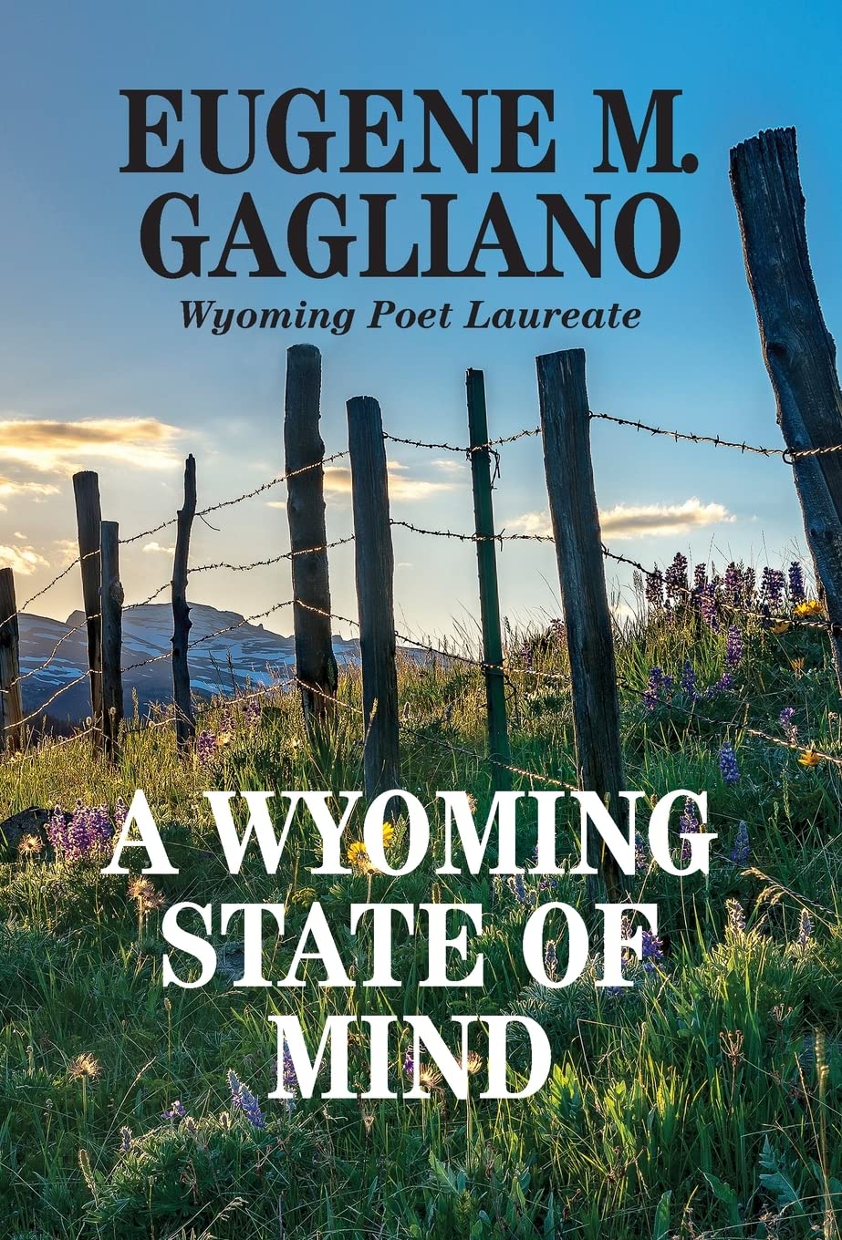 A Wyoming State of Mind,Used