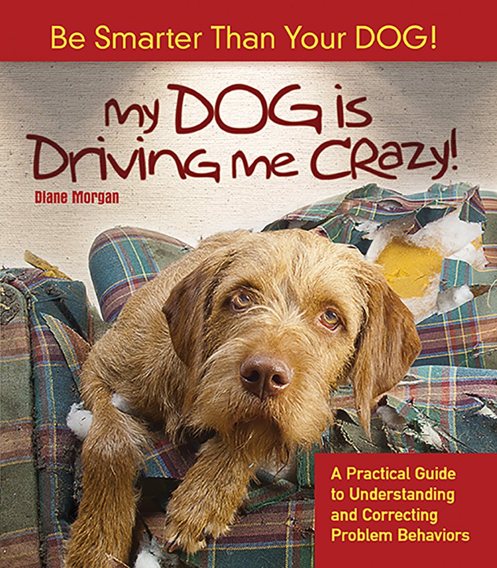 My Dog Is Driving Me Crazy!: Be Smarter Than Your Dog! A Practical Guide to Understanding and Correcting Problem Behaviors,Used