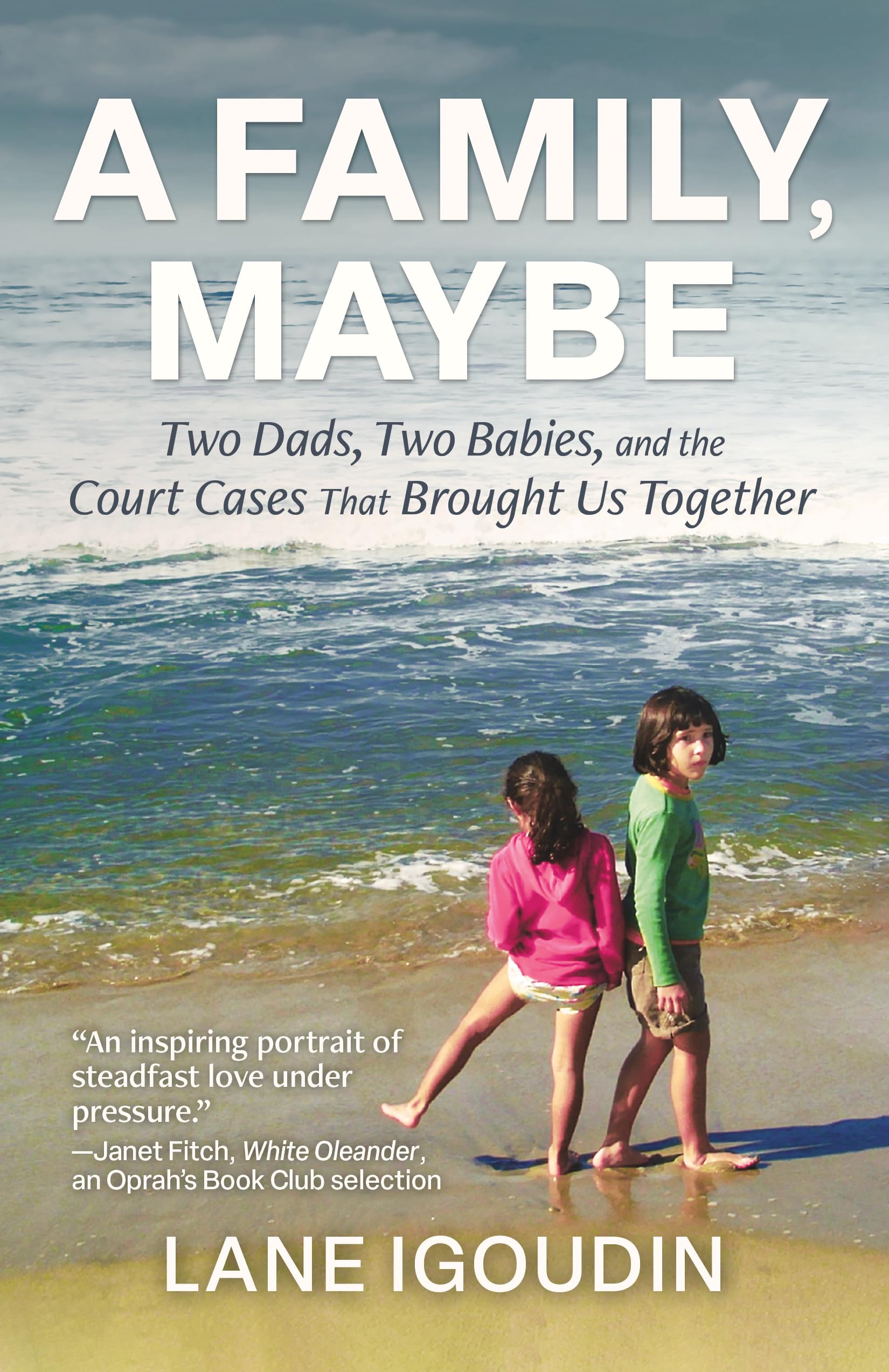 A Family, Maybe: Two Dads, Two Babies, And The Court Cases That Brought Us Together,New