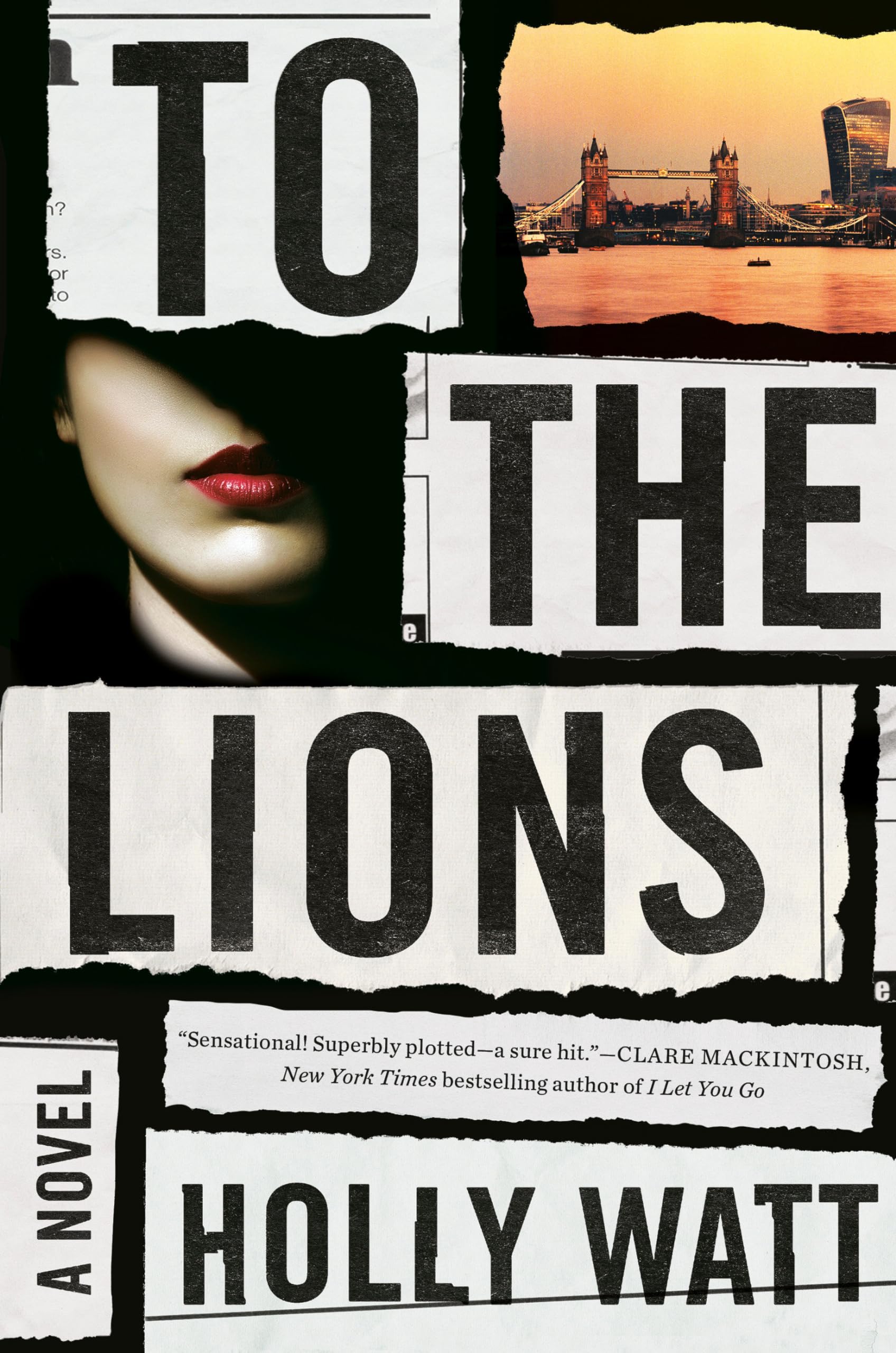 To the Lions: A Novel,Used