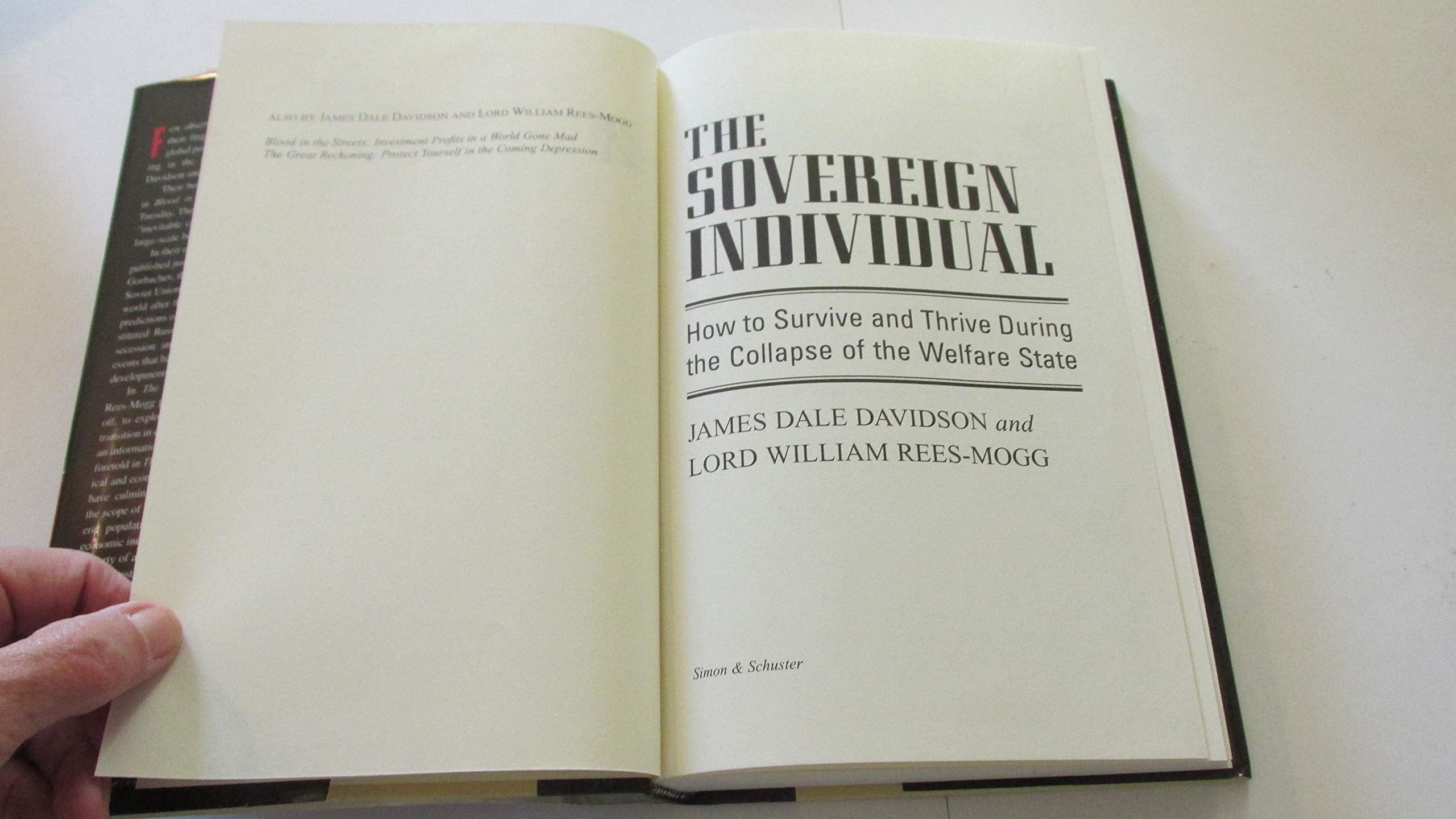 The Sovereign Individual: How To Survive And Thrive During The Collapse Of The Welfare State-used