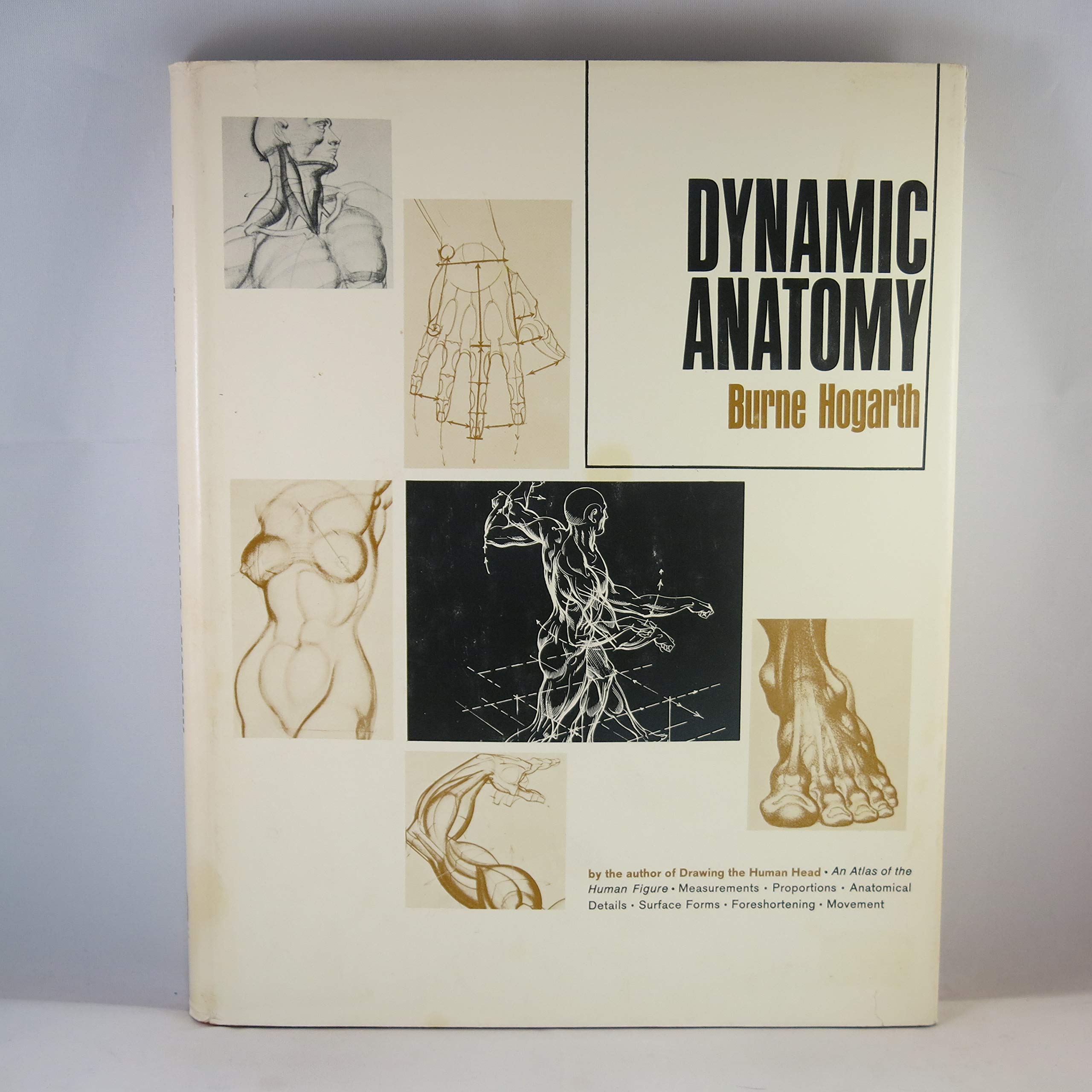 Dynamic Anatomy,Used