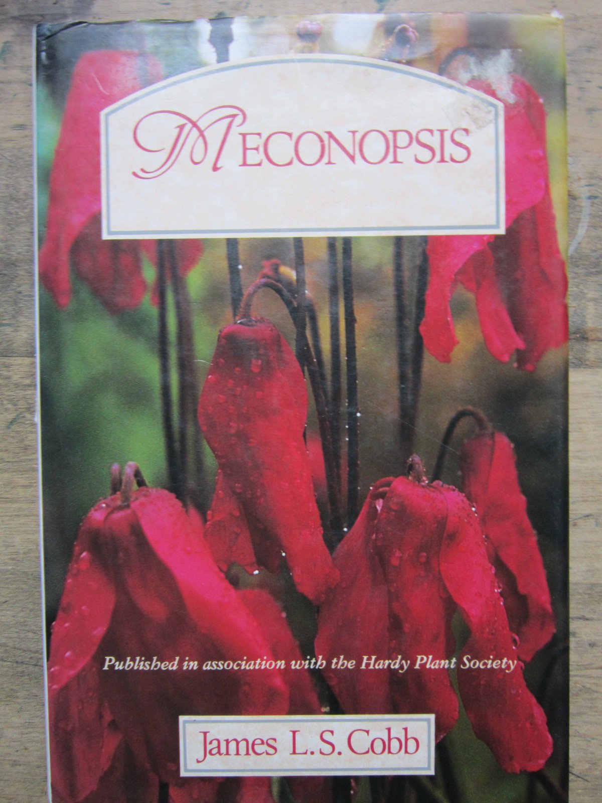 Meconopsis (Hardy Plant Series),Used