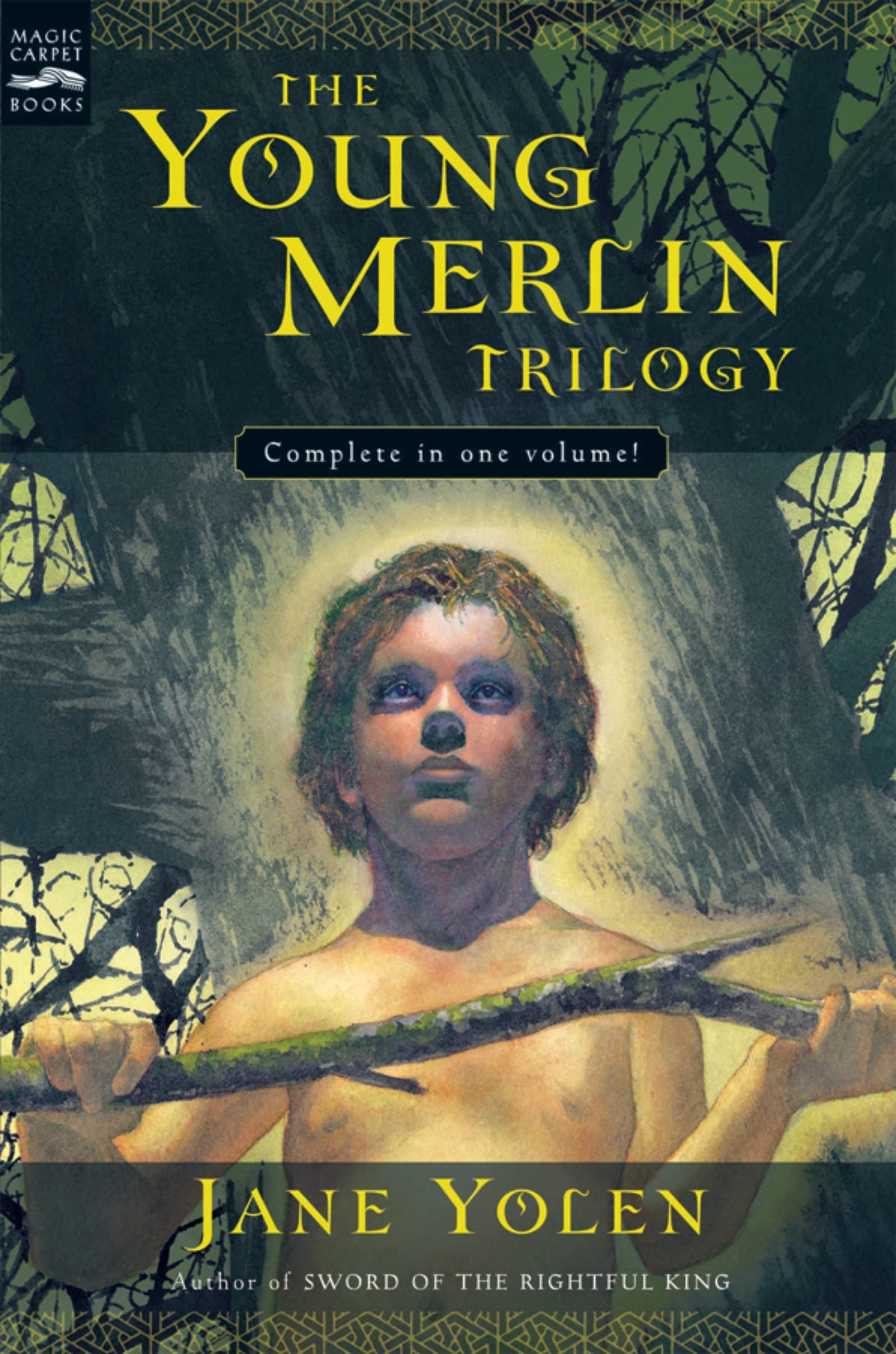 The Young Merlin Trilogy: Passager, Hobby, And Merlin,Used